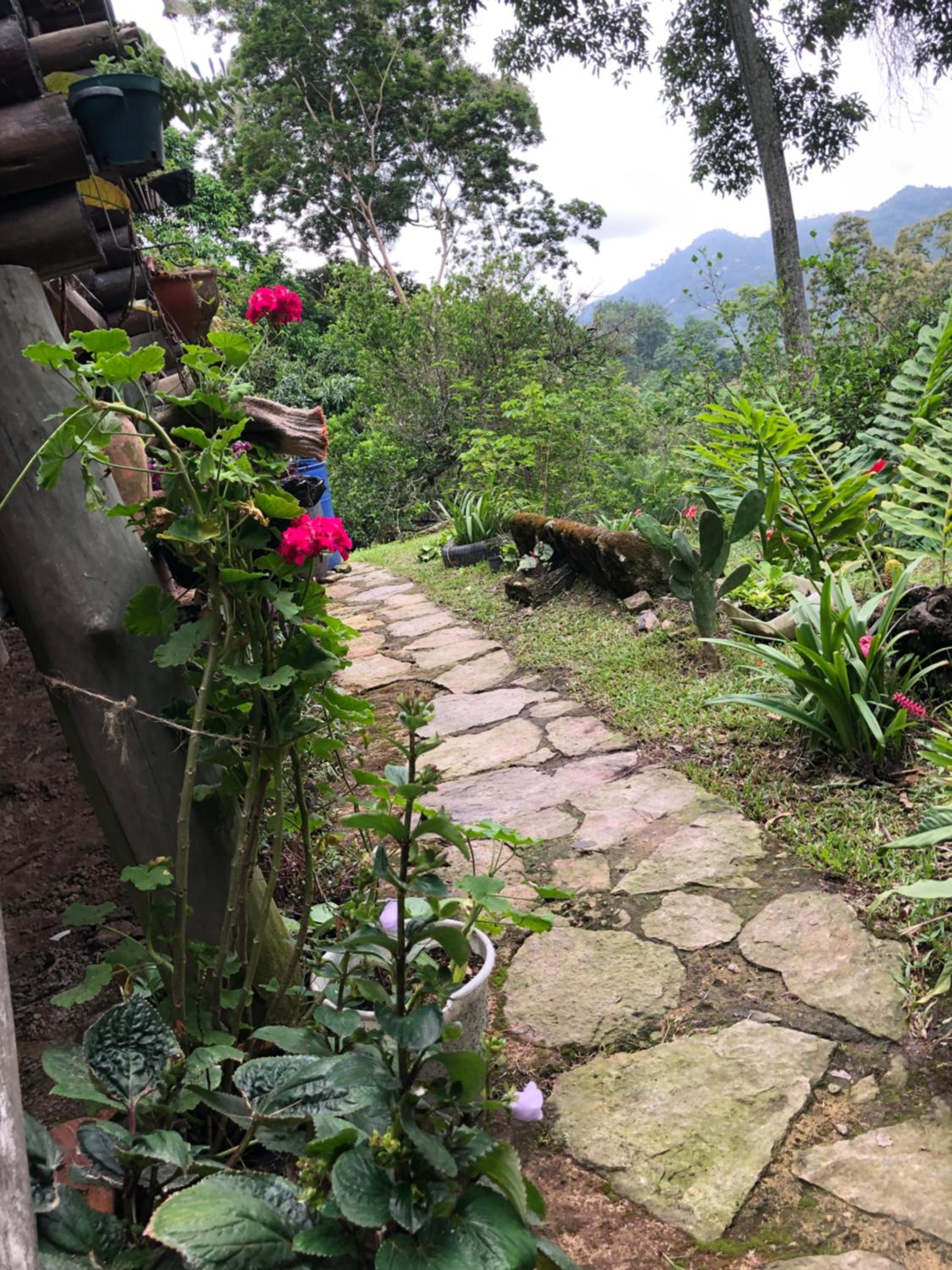 Cabañas Los Andes