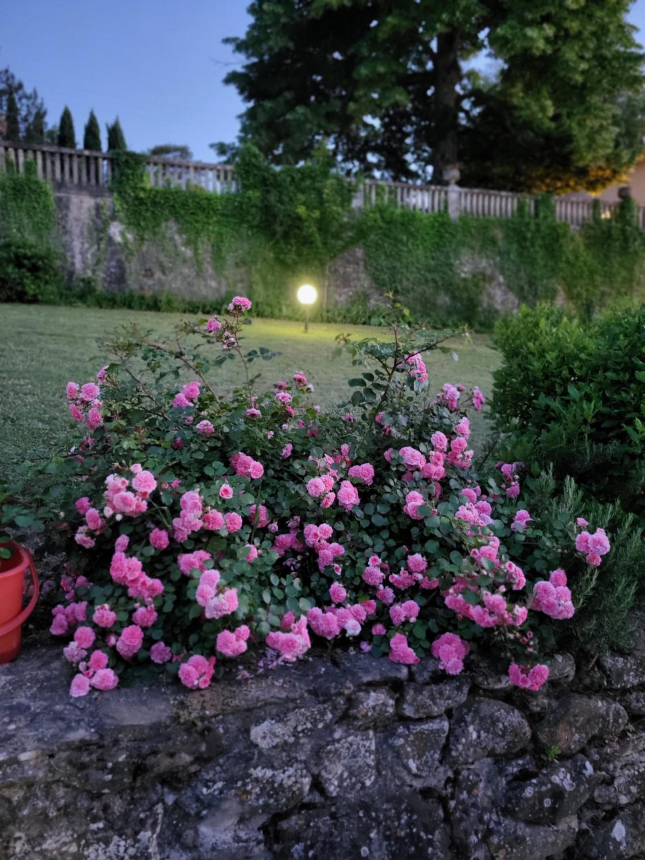 villa badia a ruoti La Casina di Tina