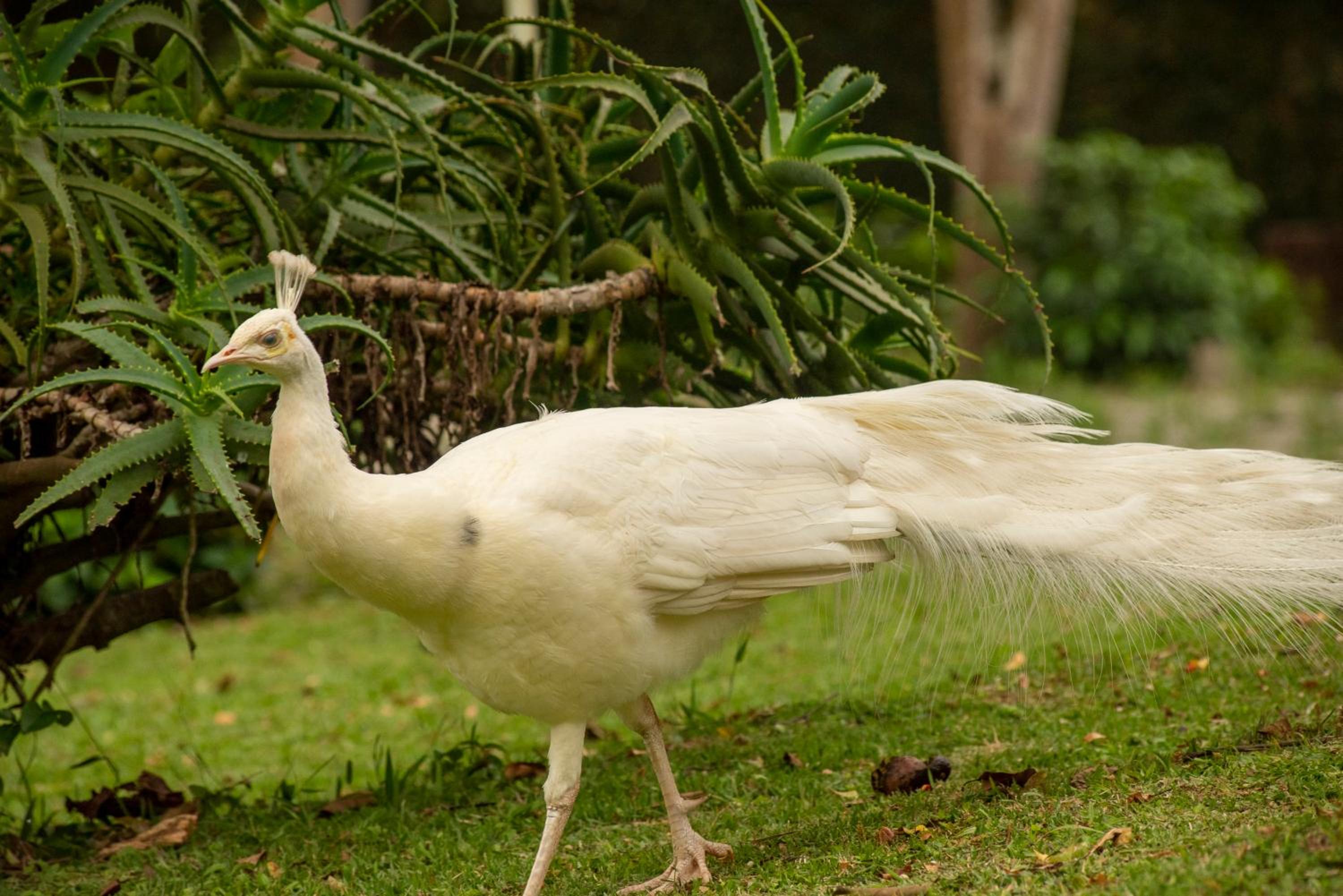 Pousada Chácara Rio Jordão