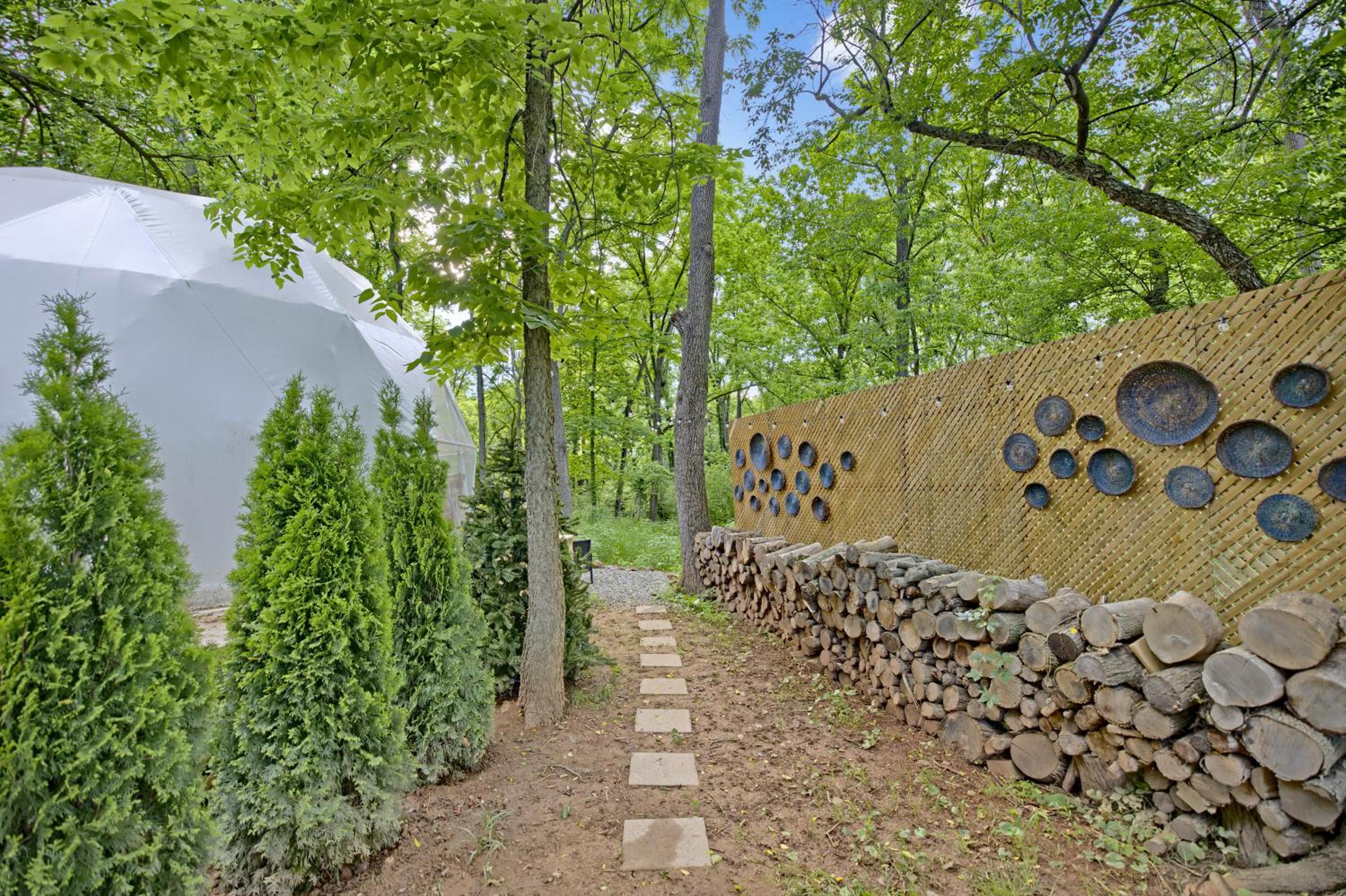 Dream Dome Getaway near Leesburg view 5