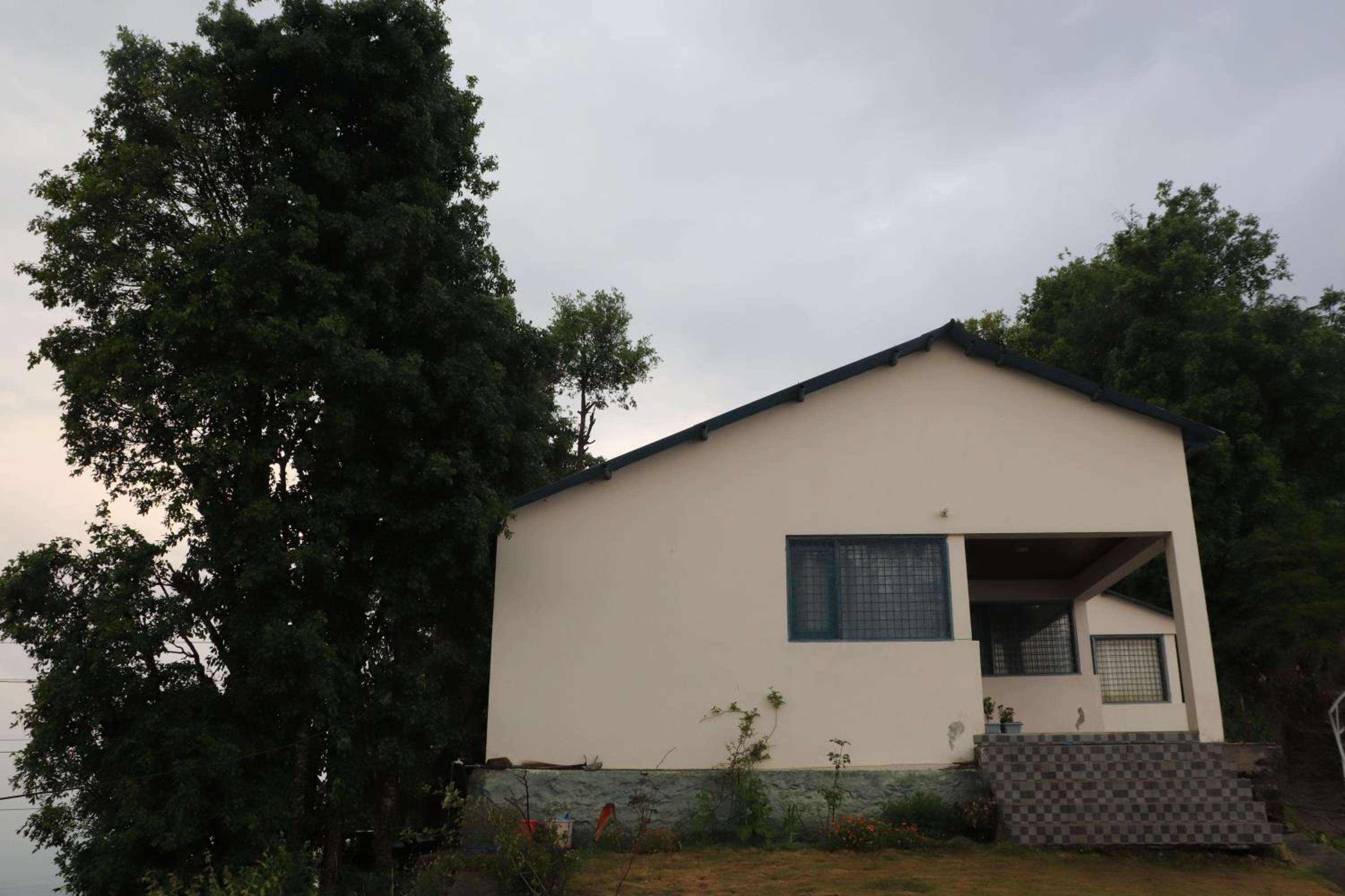 Photo 41