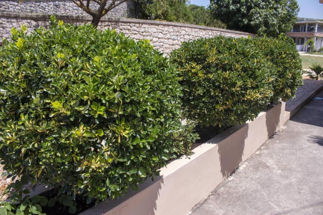 Kodra Apartments