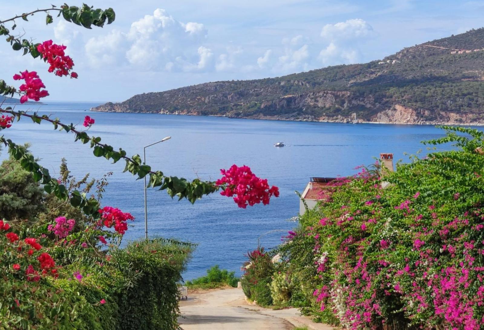 Villa Zeytin view 4