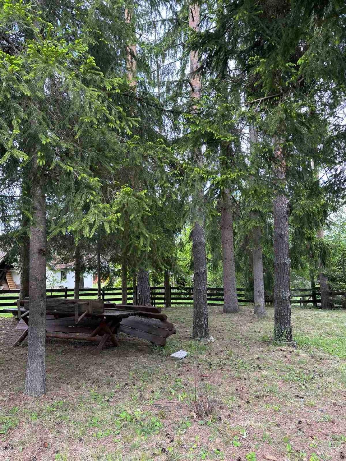 Planinska kuća Tornik - Zlatibor