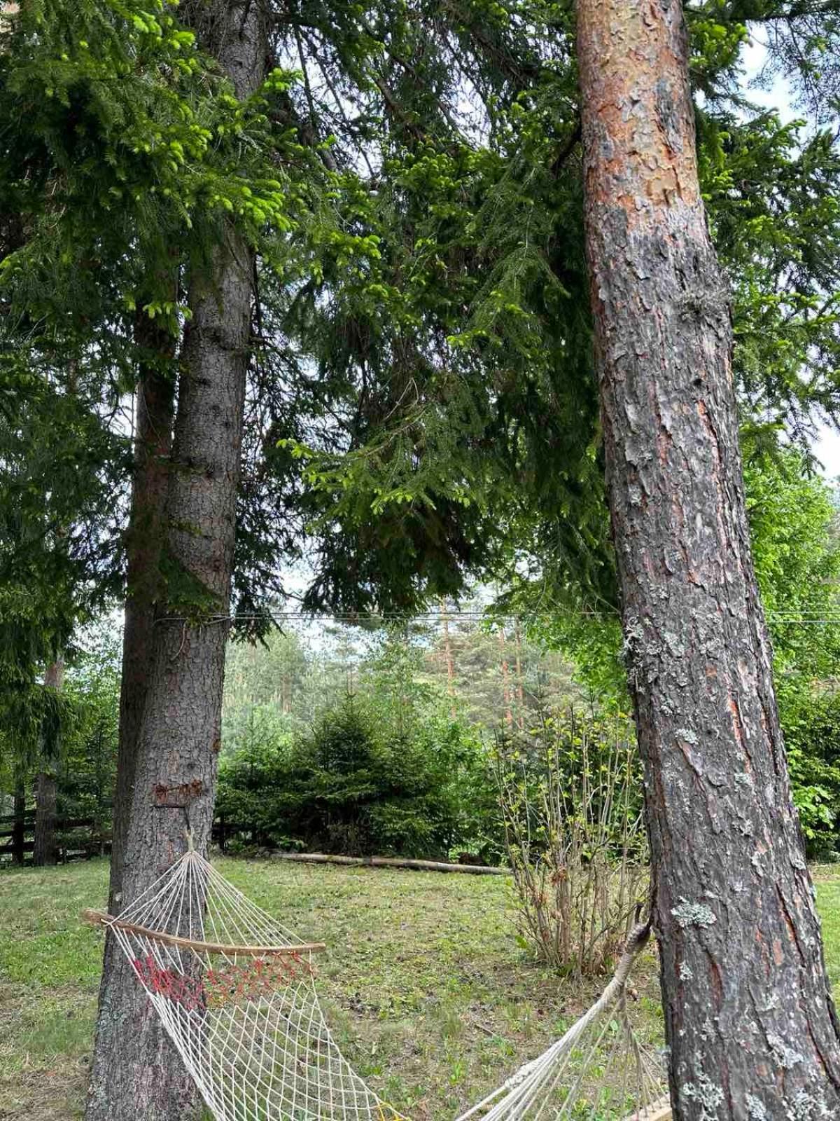 Planinska kuća Tornik - Zlatibor
