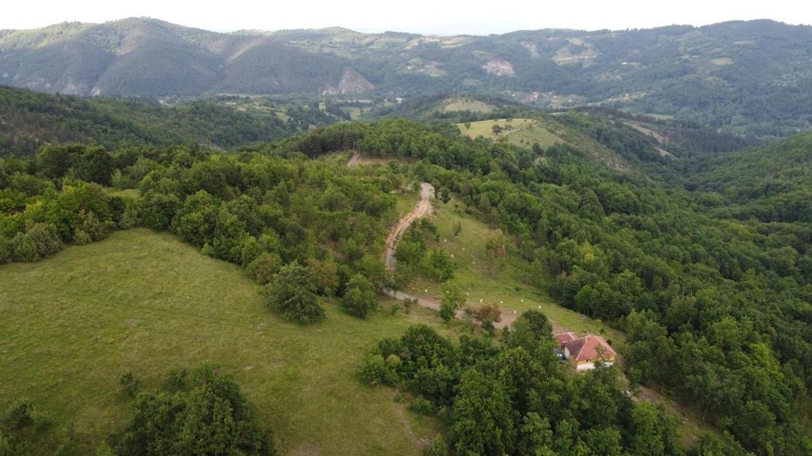 Šumska kuća Ilija view 3