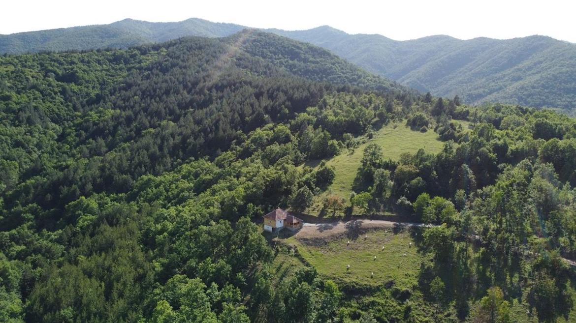Šumska kuća Ilija view 2