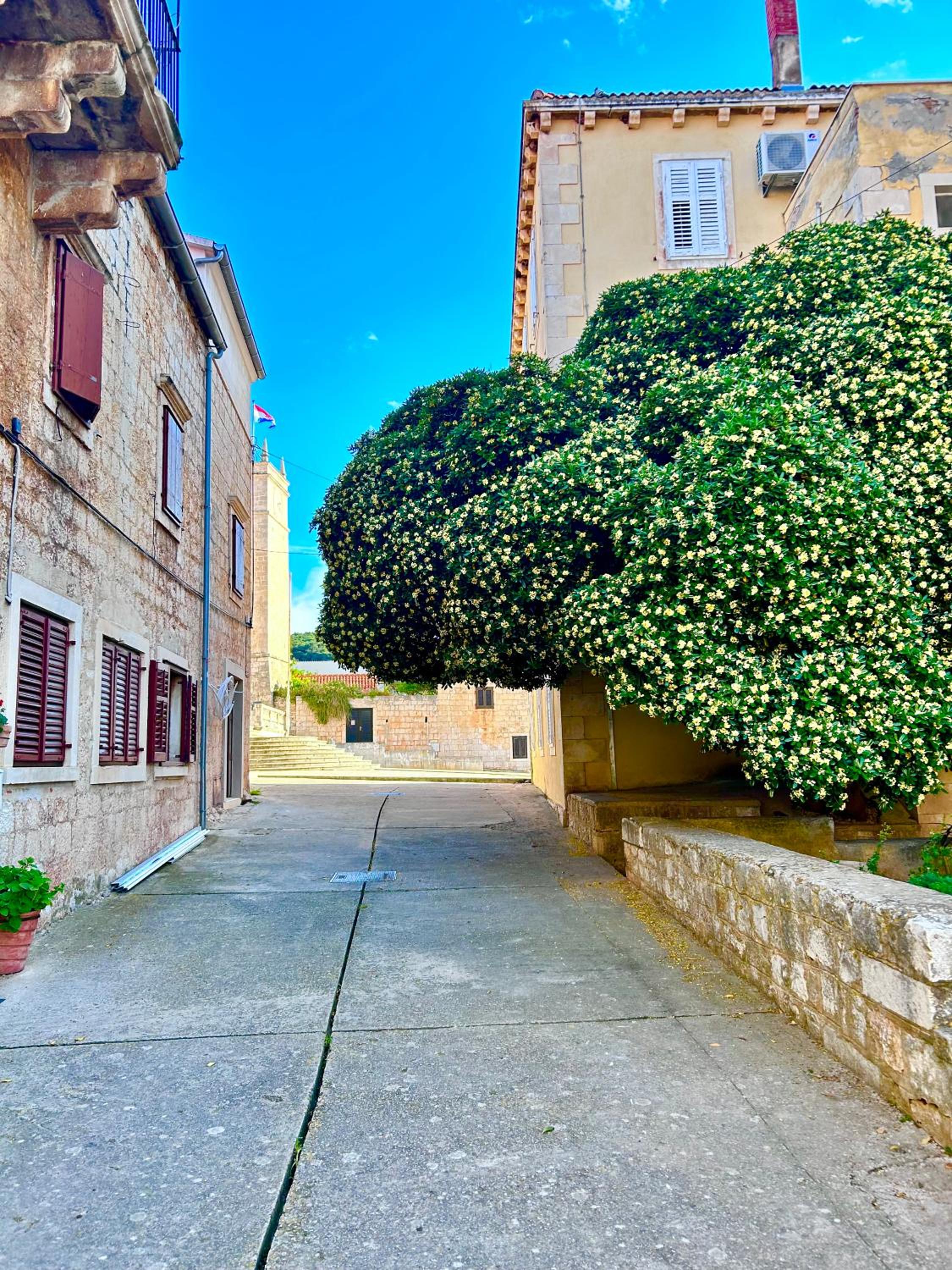 Apartment San Pietro