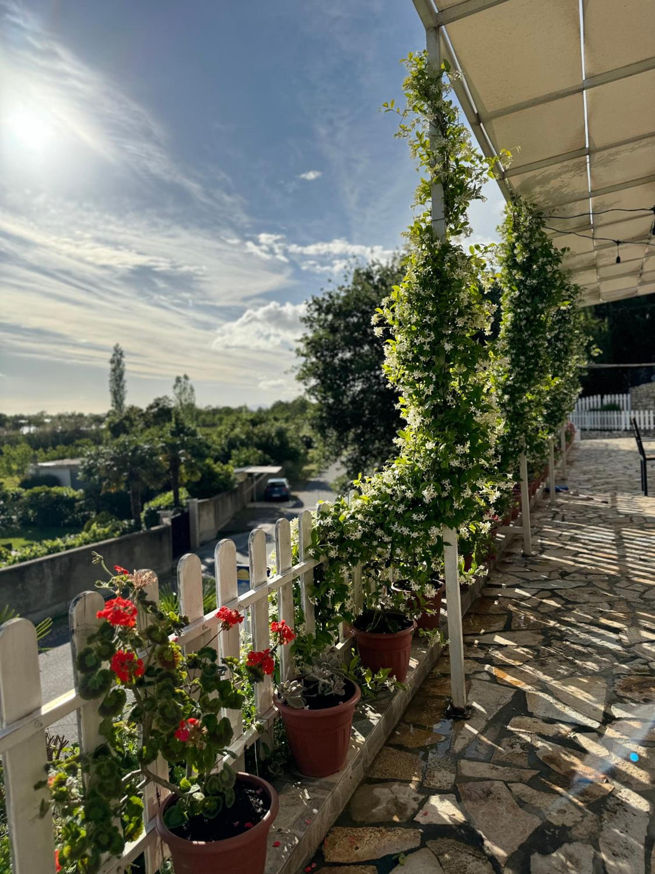 Vila Horizont Guest House
