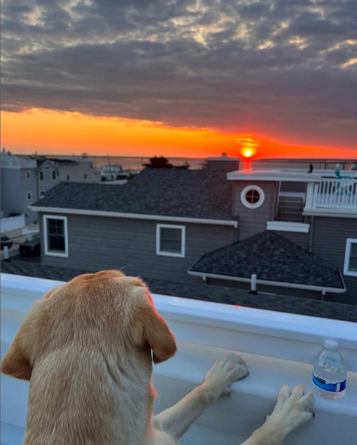 roof