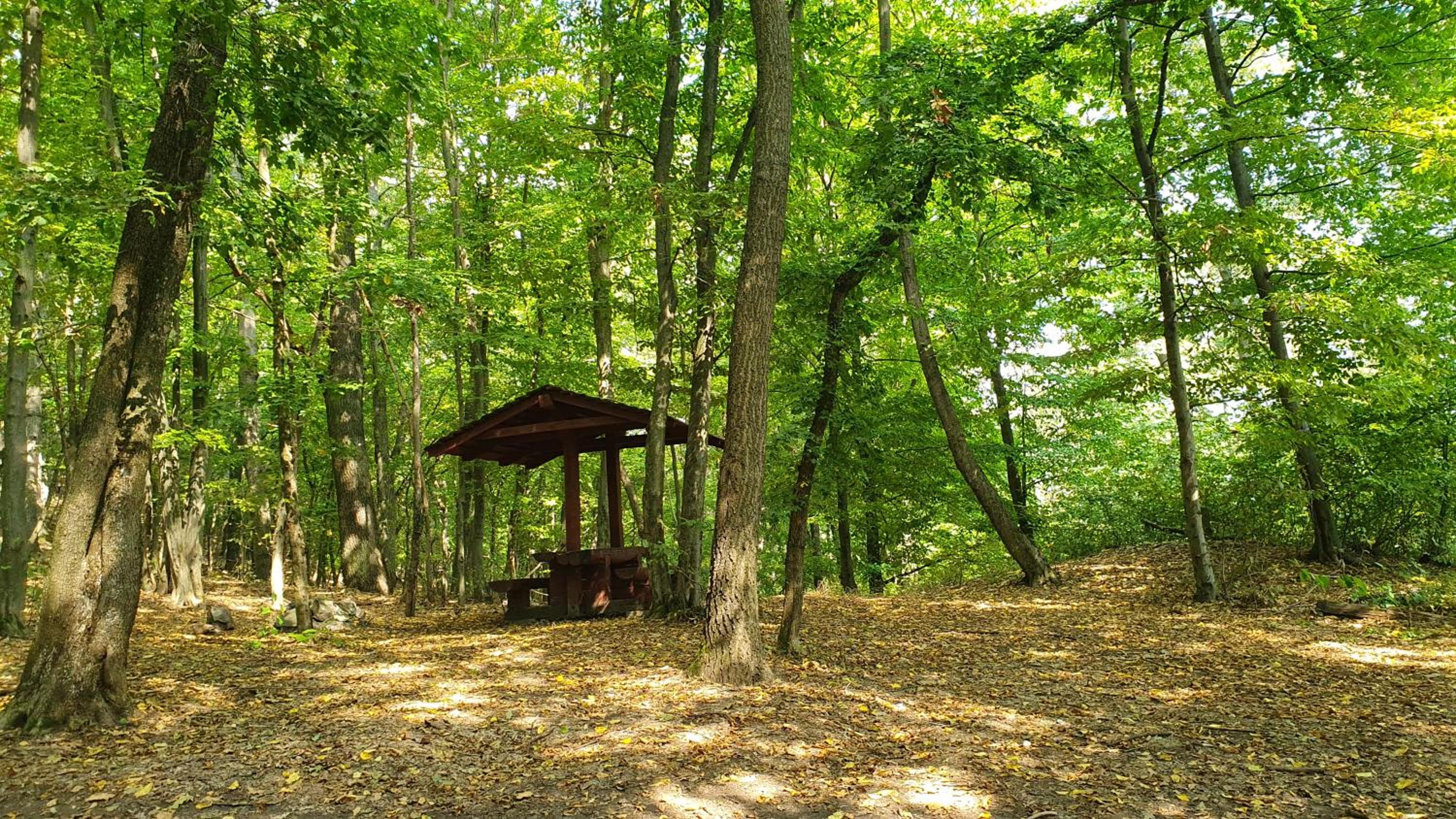 Sziklaszirt - Wellness Vendégház