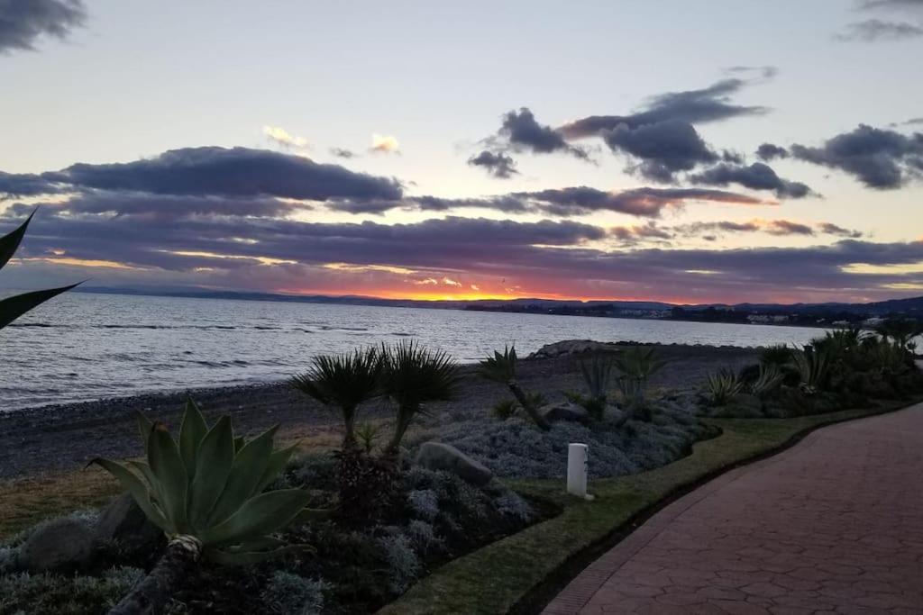 Beachfront Escape Resort