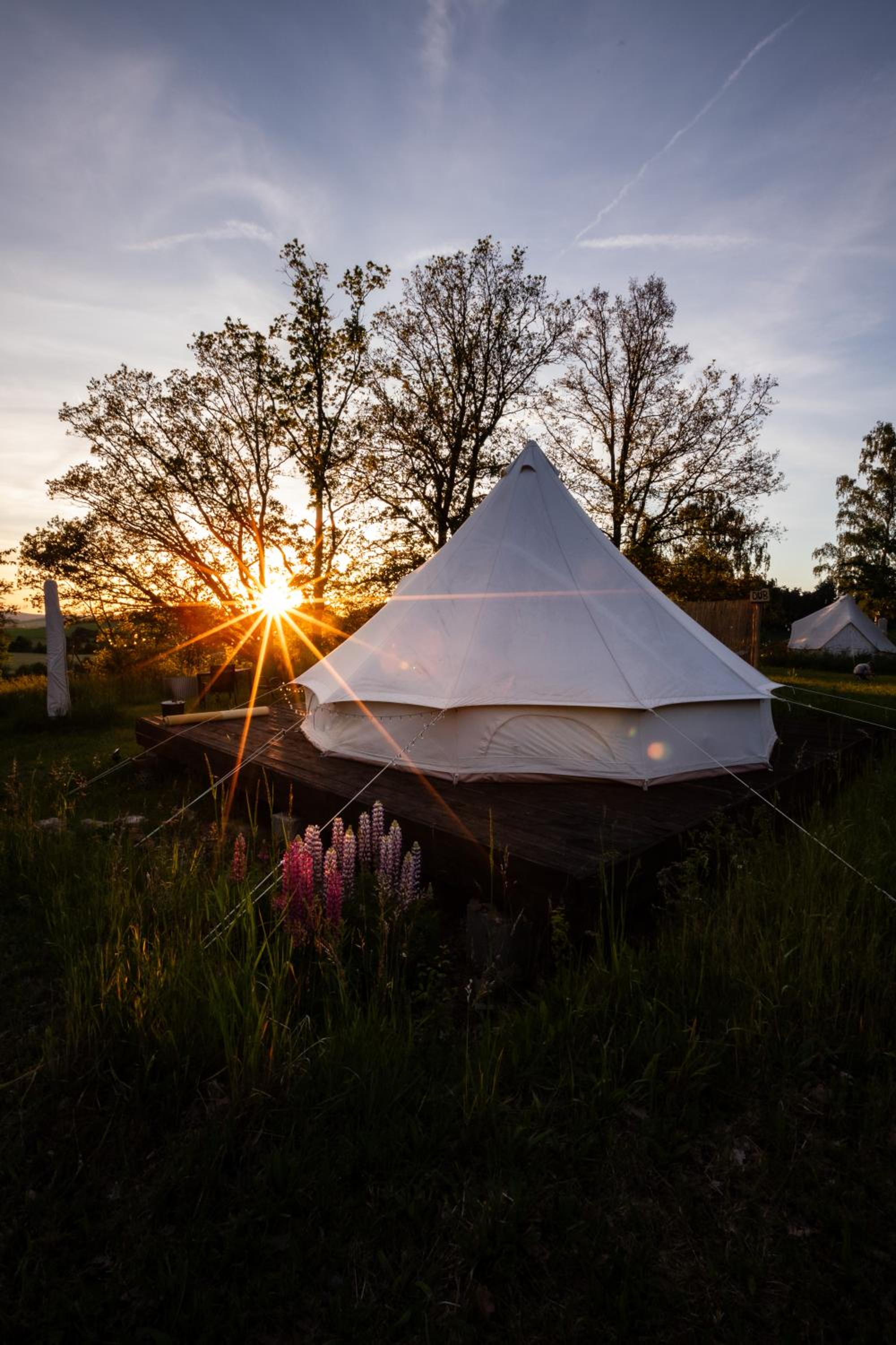 Glamping Hive