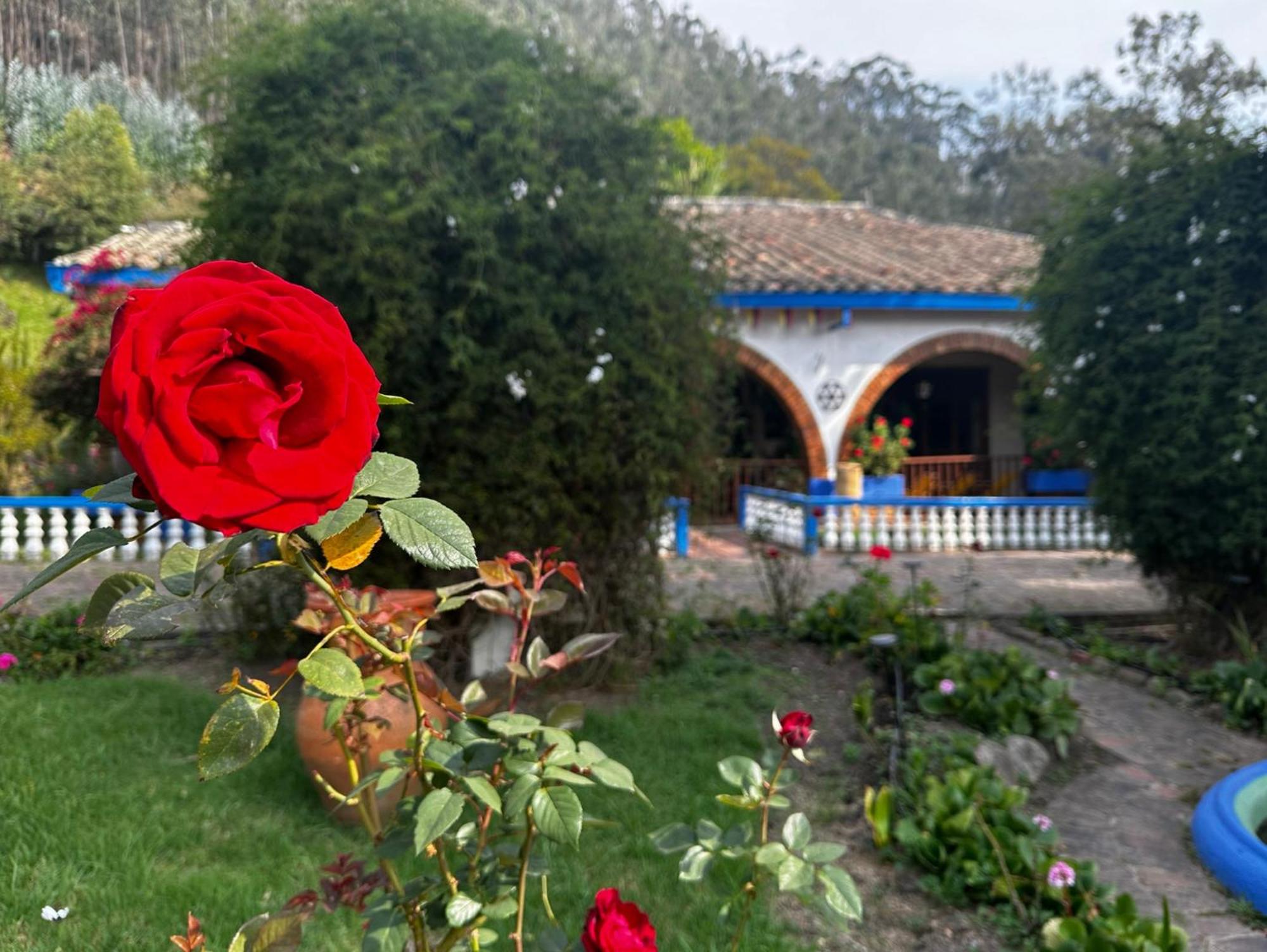 Finca San Pedro -Alojamiento Campestre y Reserva Natural- view 3
