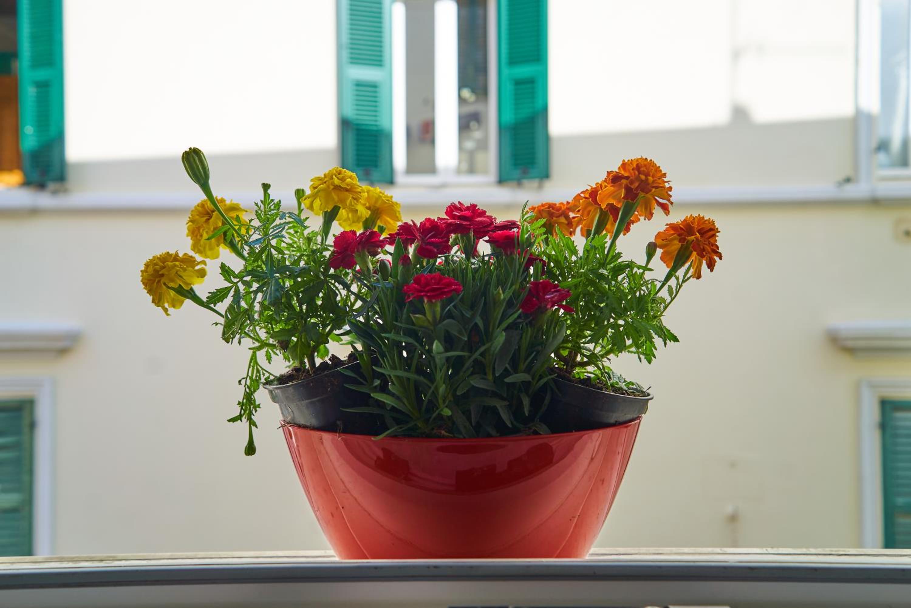 Casa Colombo photo 3