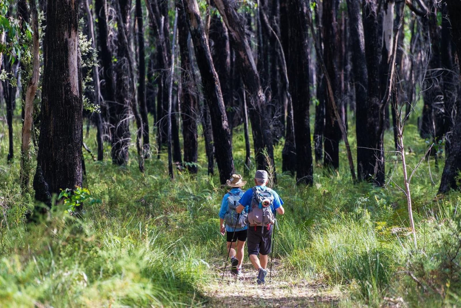 Casuarina Cabins