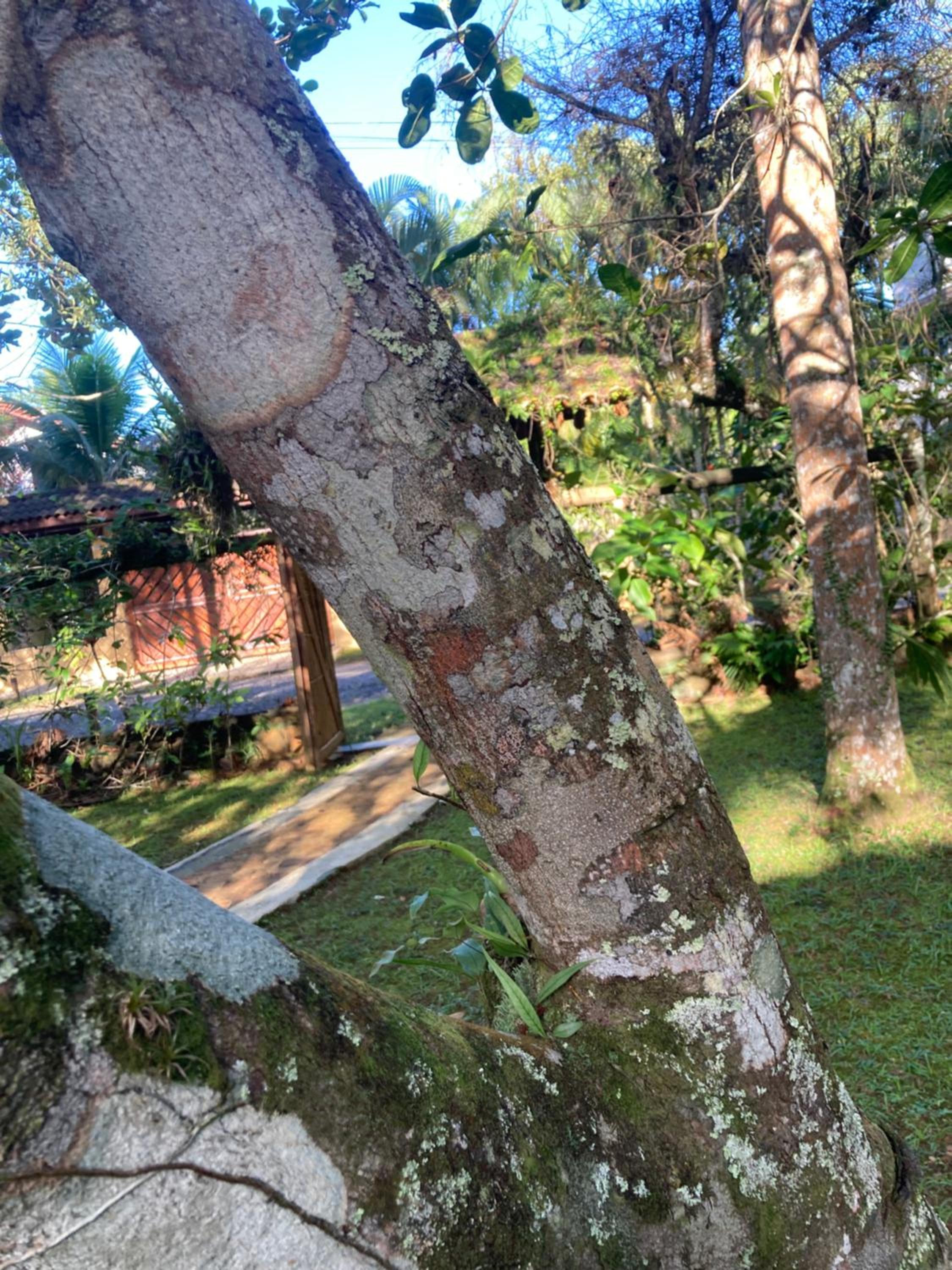 Paraíso Prumirim