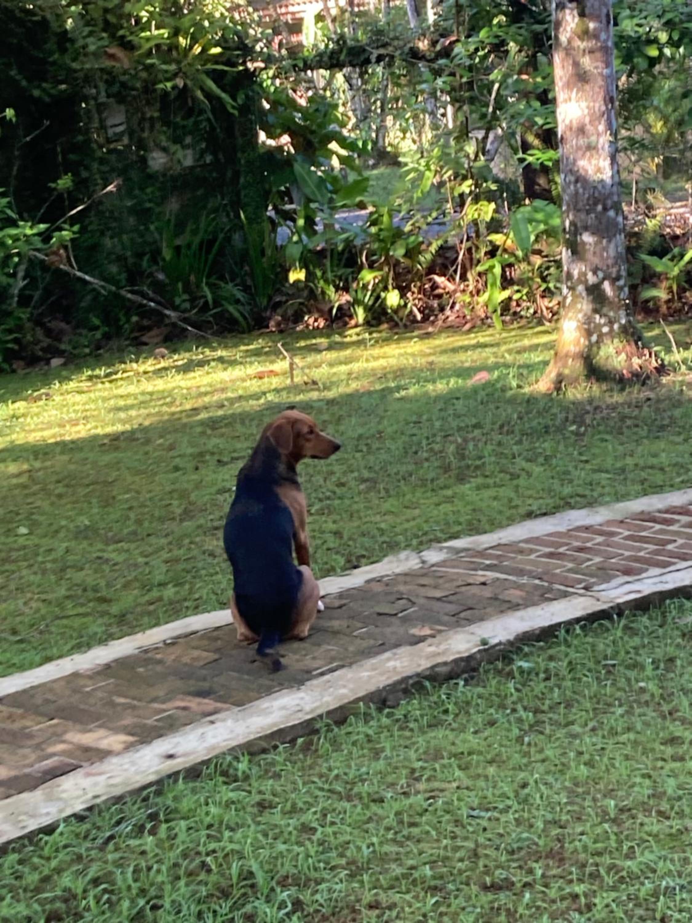 Paraíso Prumirim