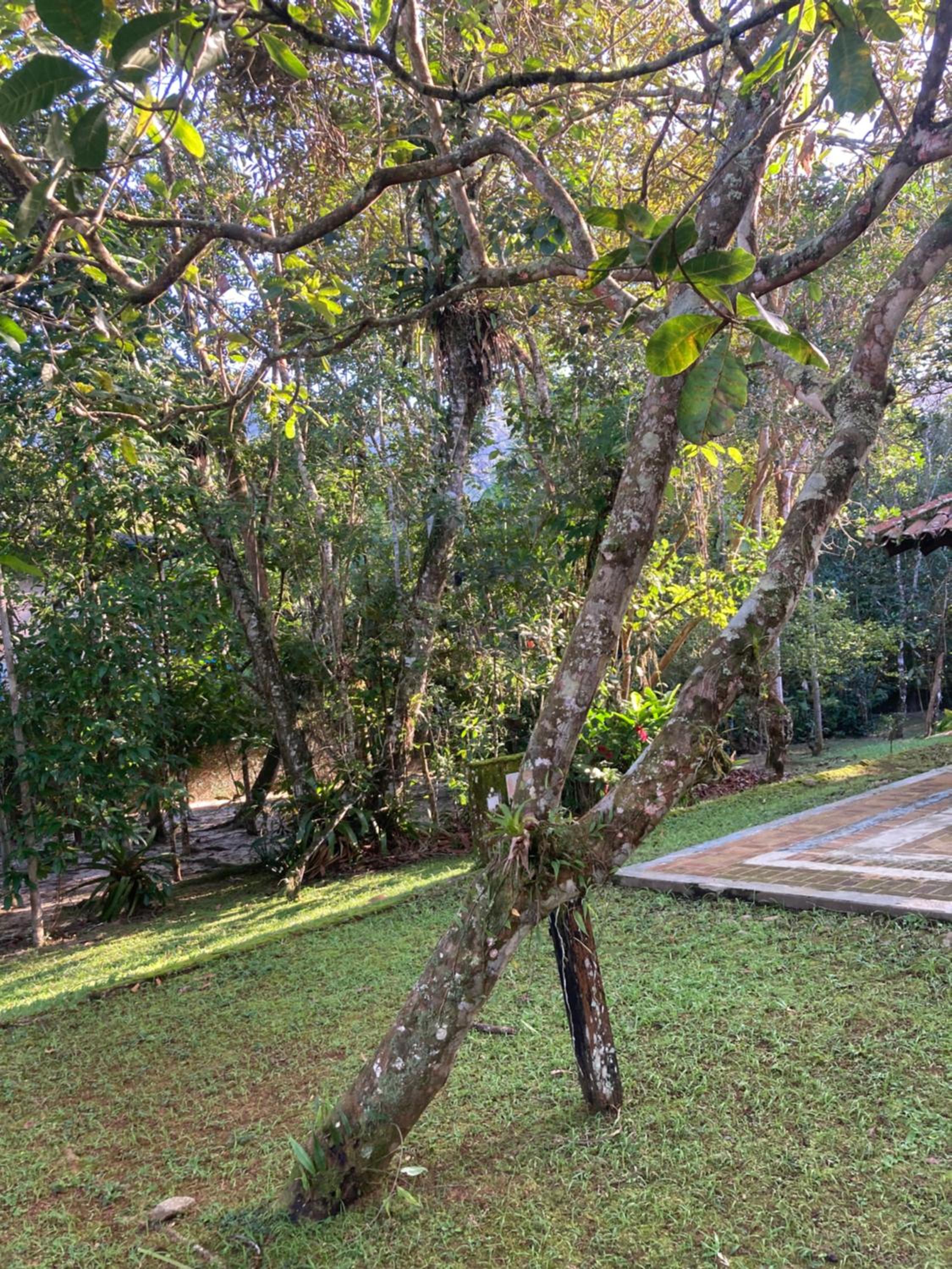 Paraíso Prumirim