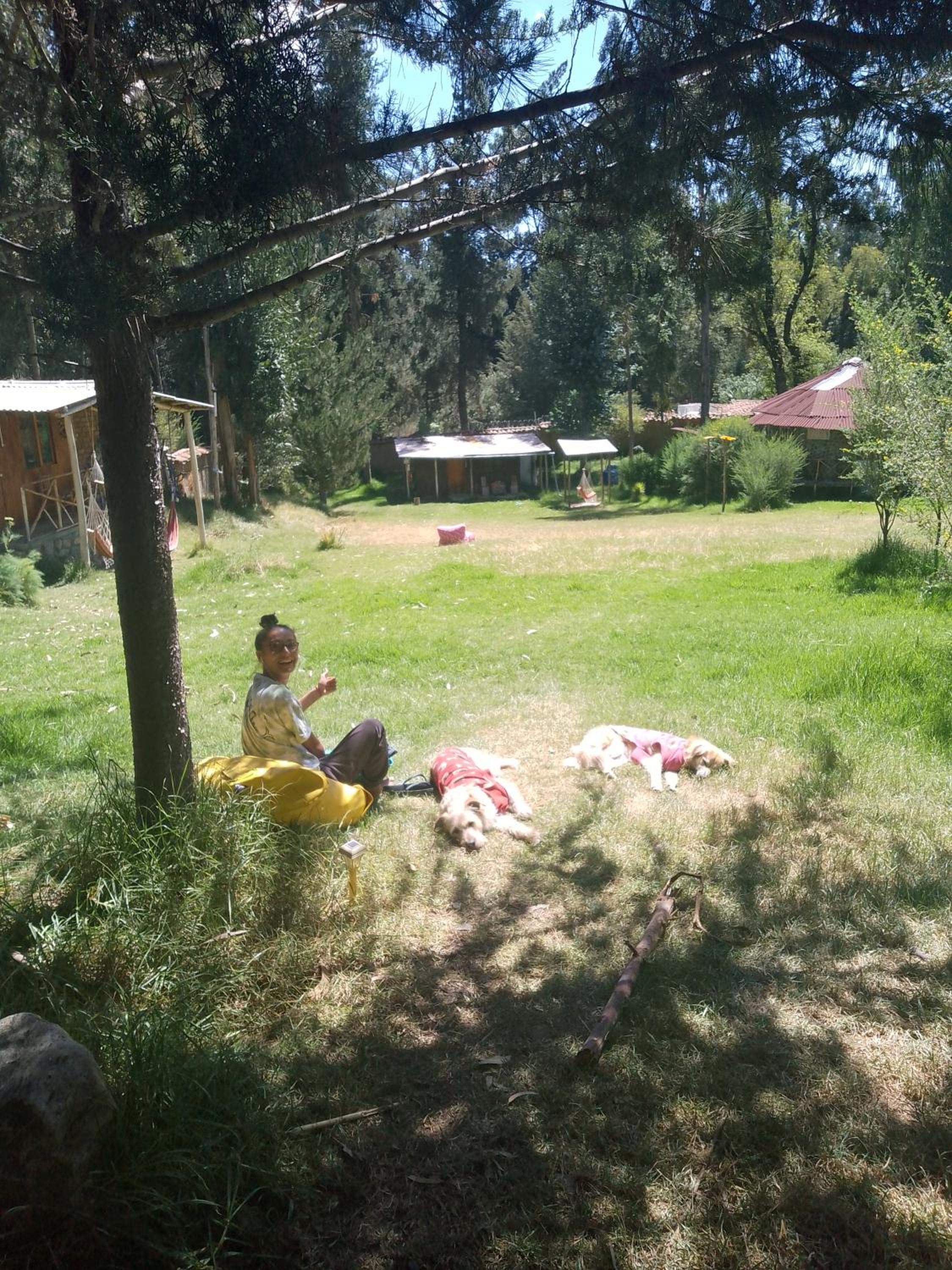 Photo 21