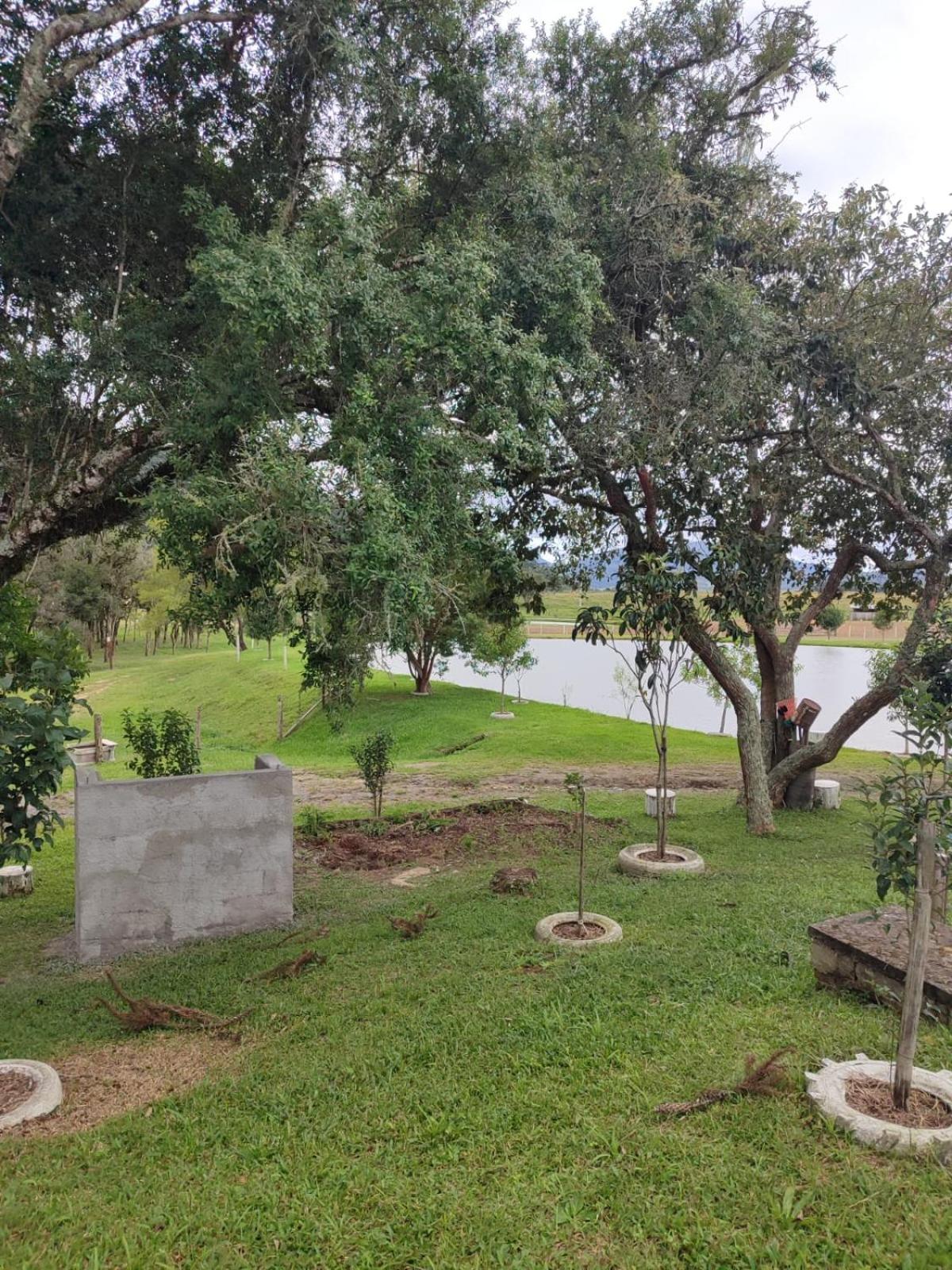 Casa de Campo e Hospedagem Fazenda Esperança