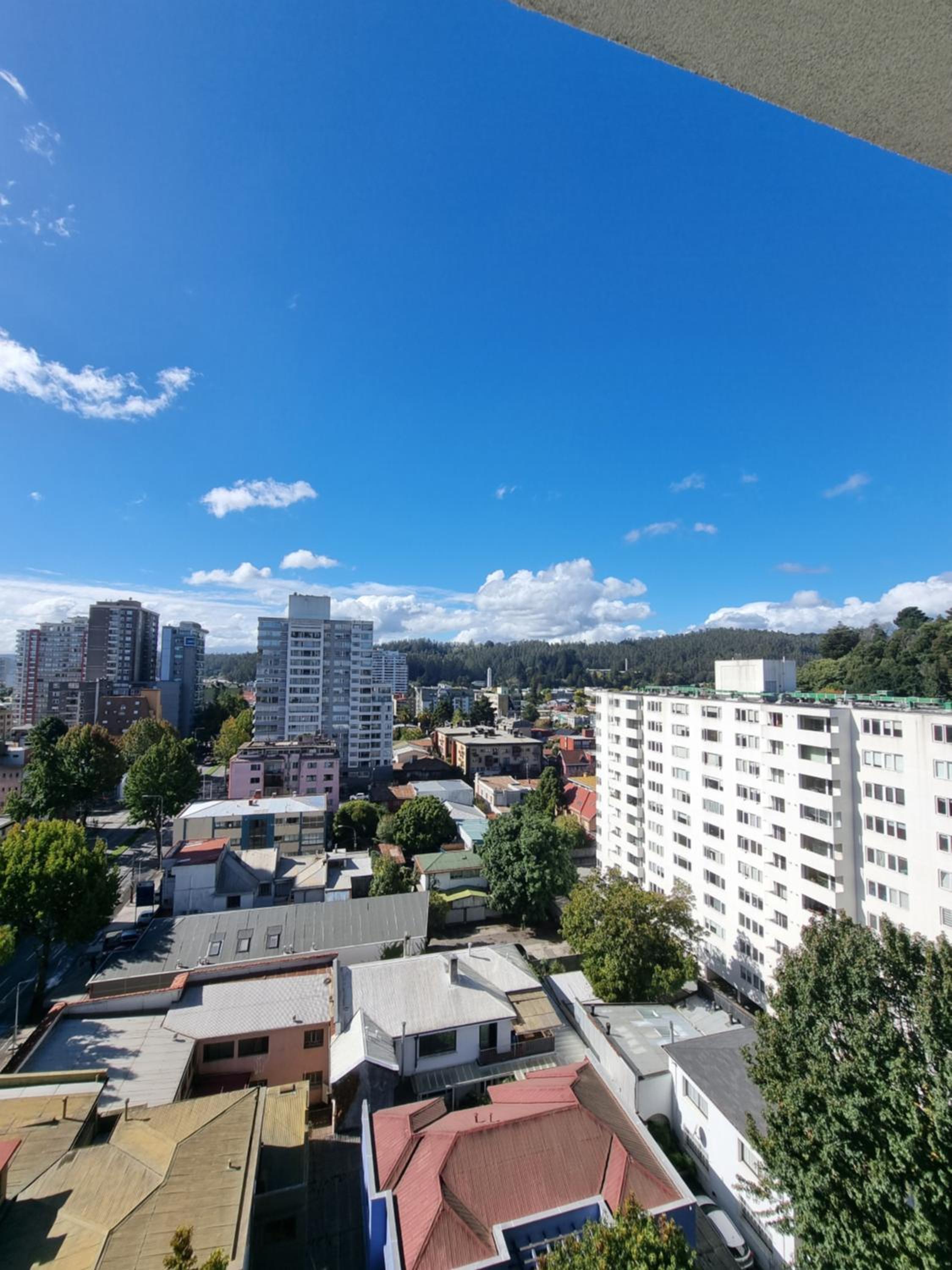 A pasos de la UDEC y centro