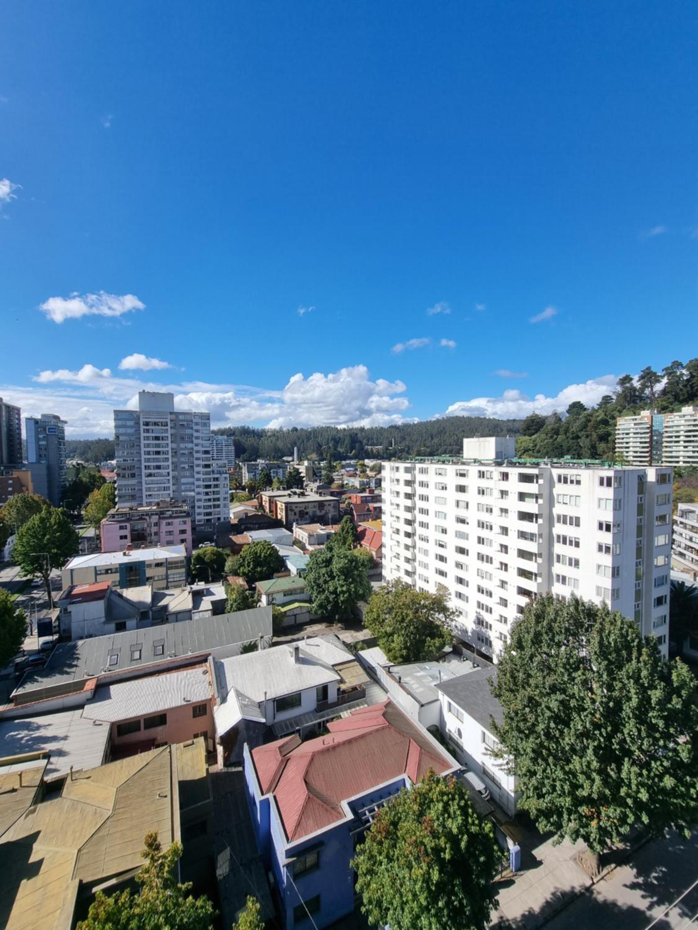 A pasos de la UDEC y centro