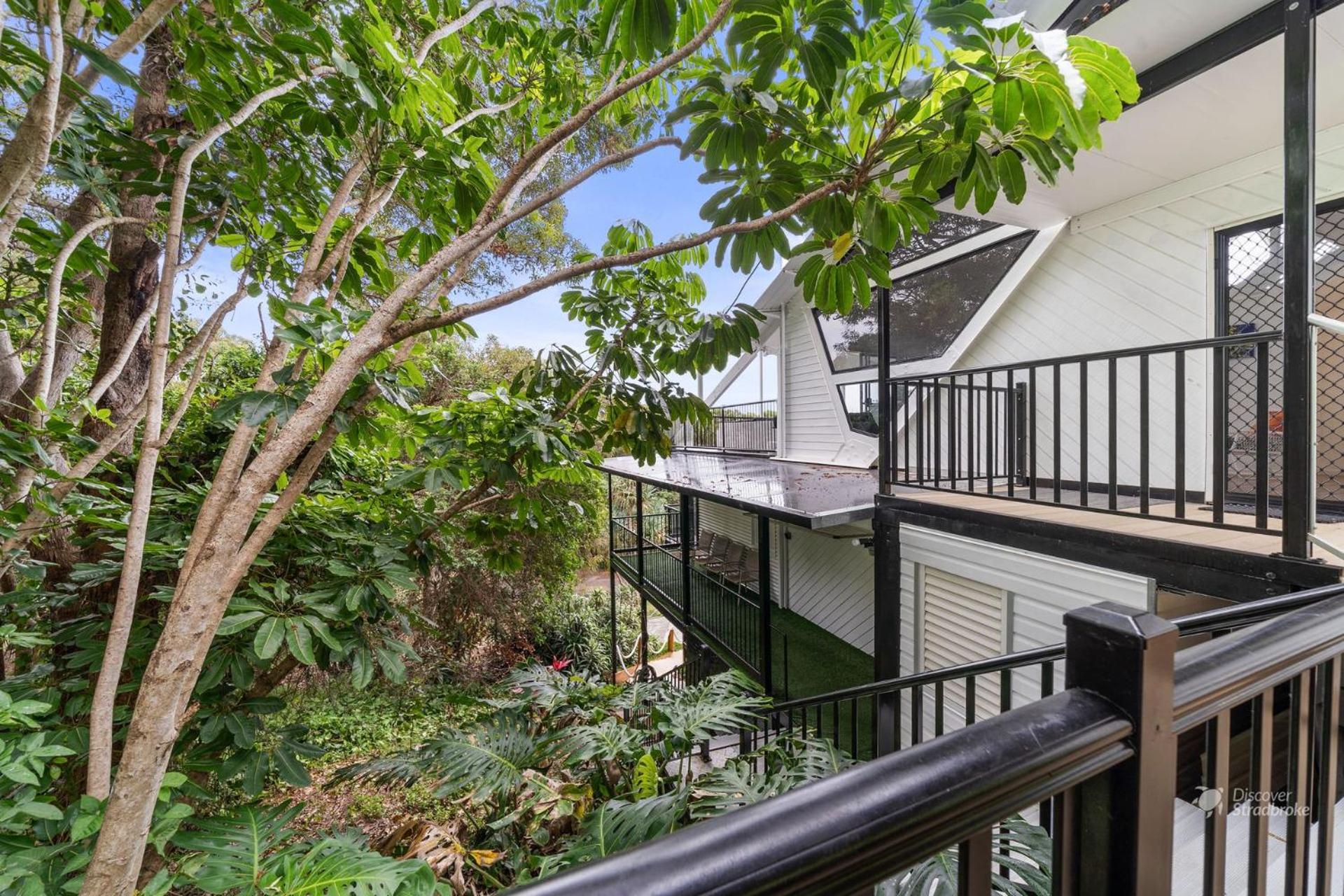 Adder View by Discover Stradbroke