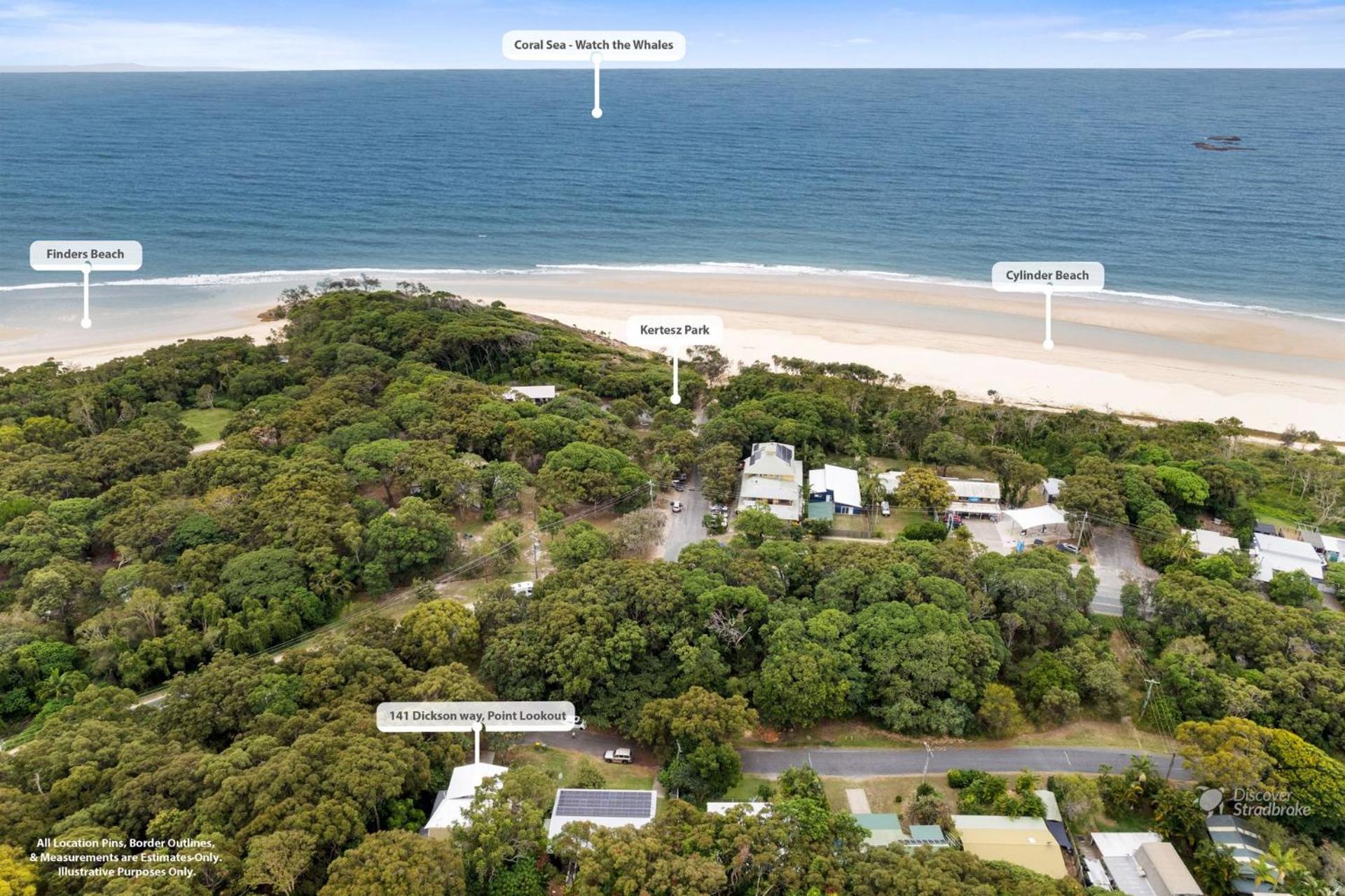 Adder View by Discover Stradbroke