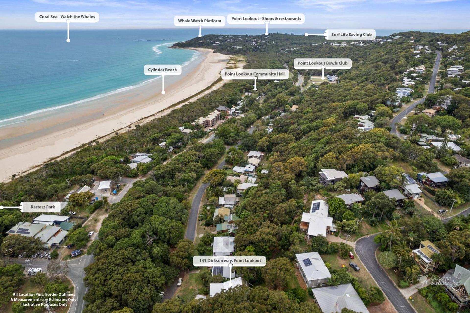 Adder View by Discover Stradbroke