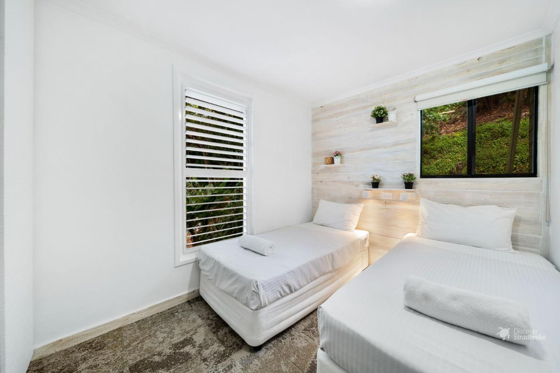 Adder View by Discover Stradbroke