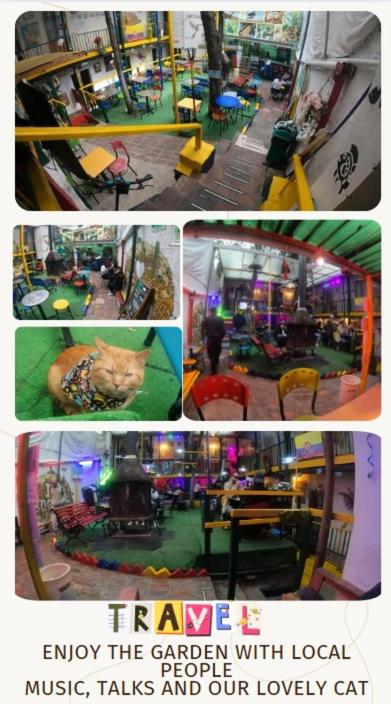 Hostal Gastro Bar Casa Colibrí
