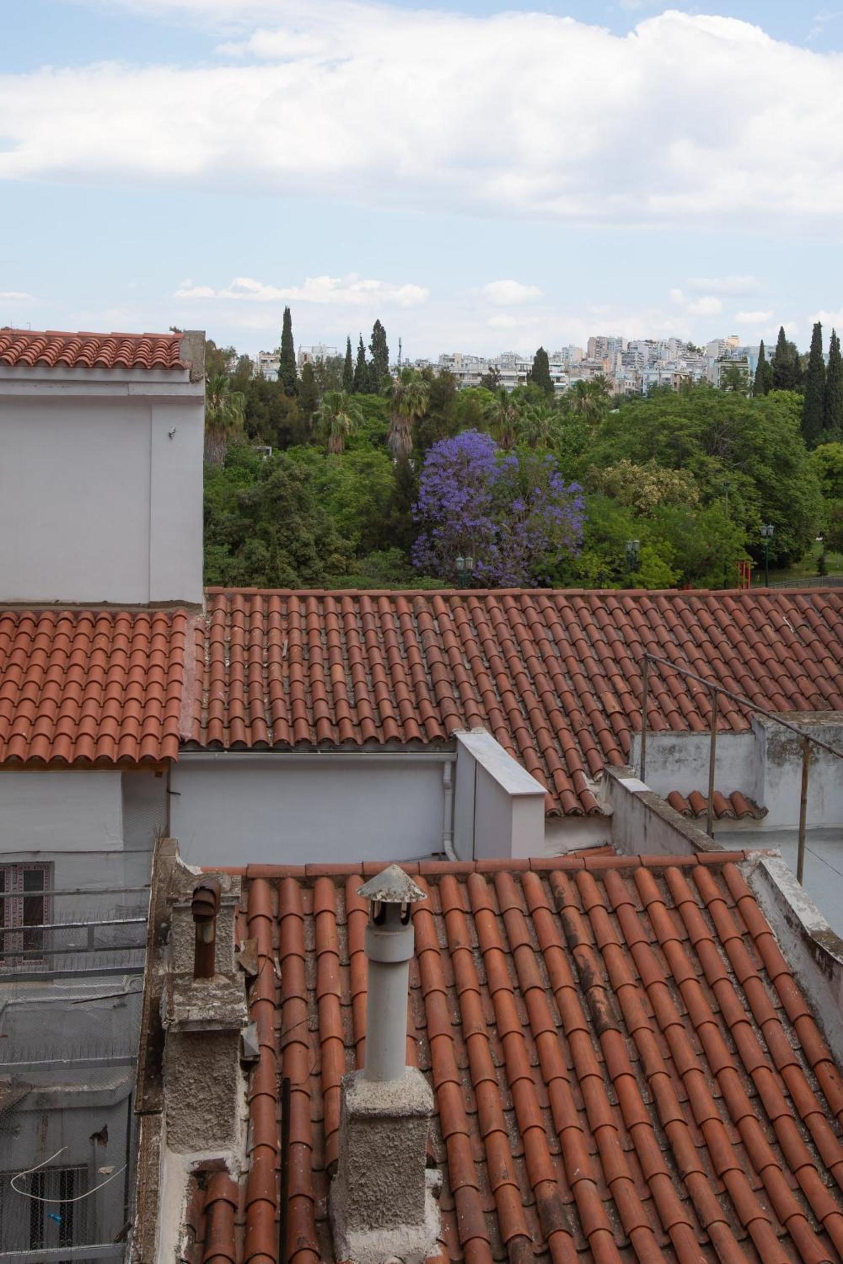 roof