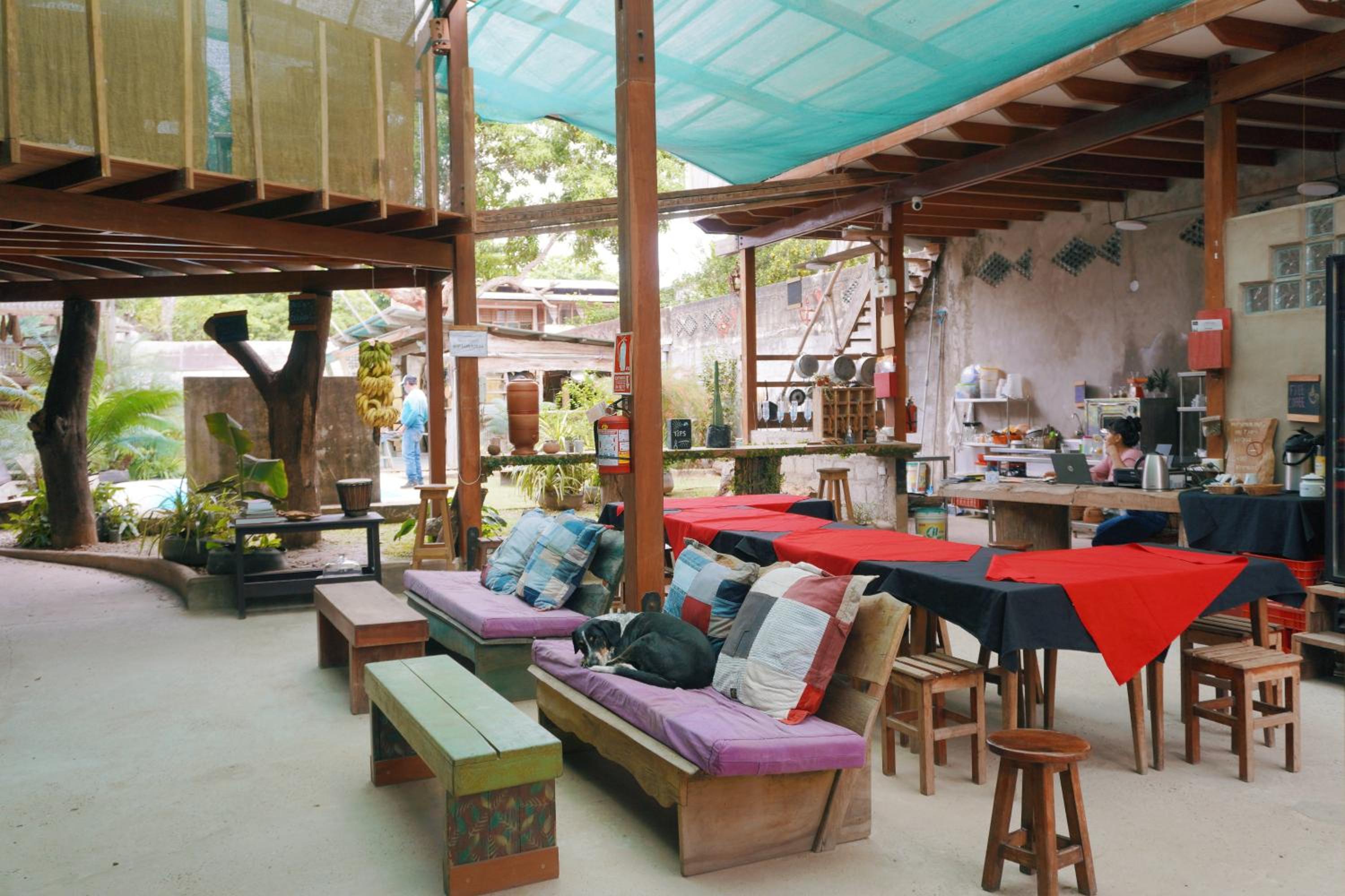 La Fauna Hotel view 3