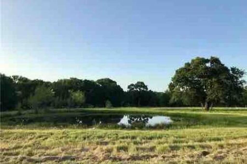 Old Oak Ranch
