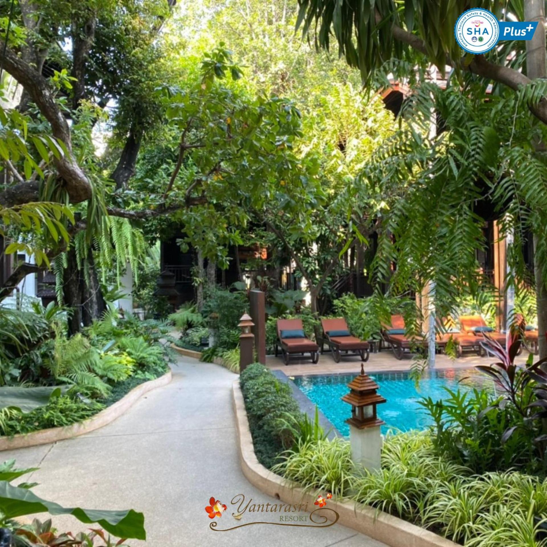 Yantarasri Resort - Image 3