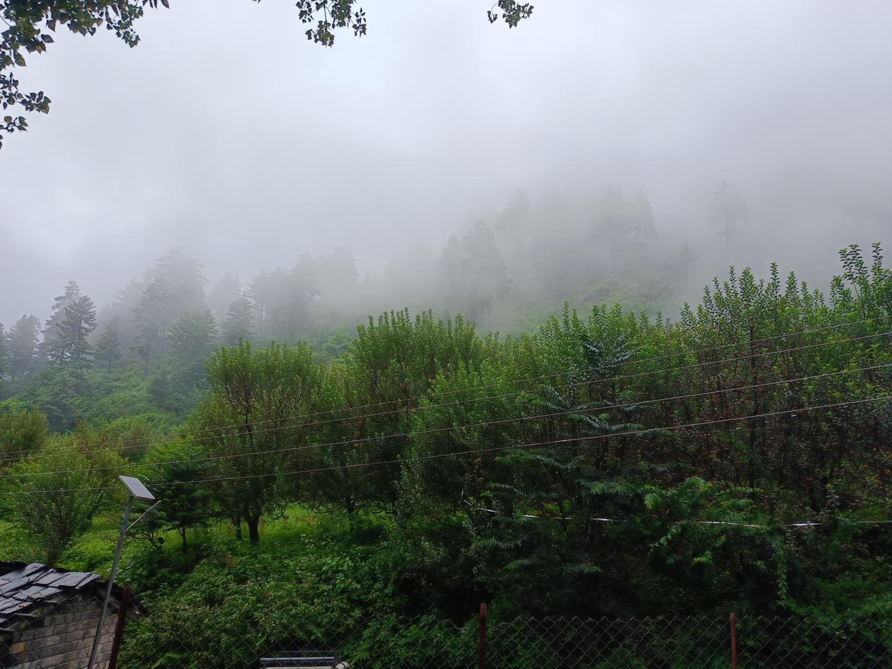 Peace homestay Naggar