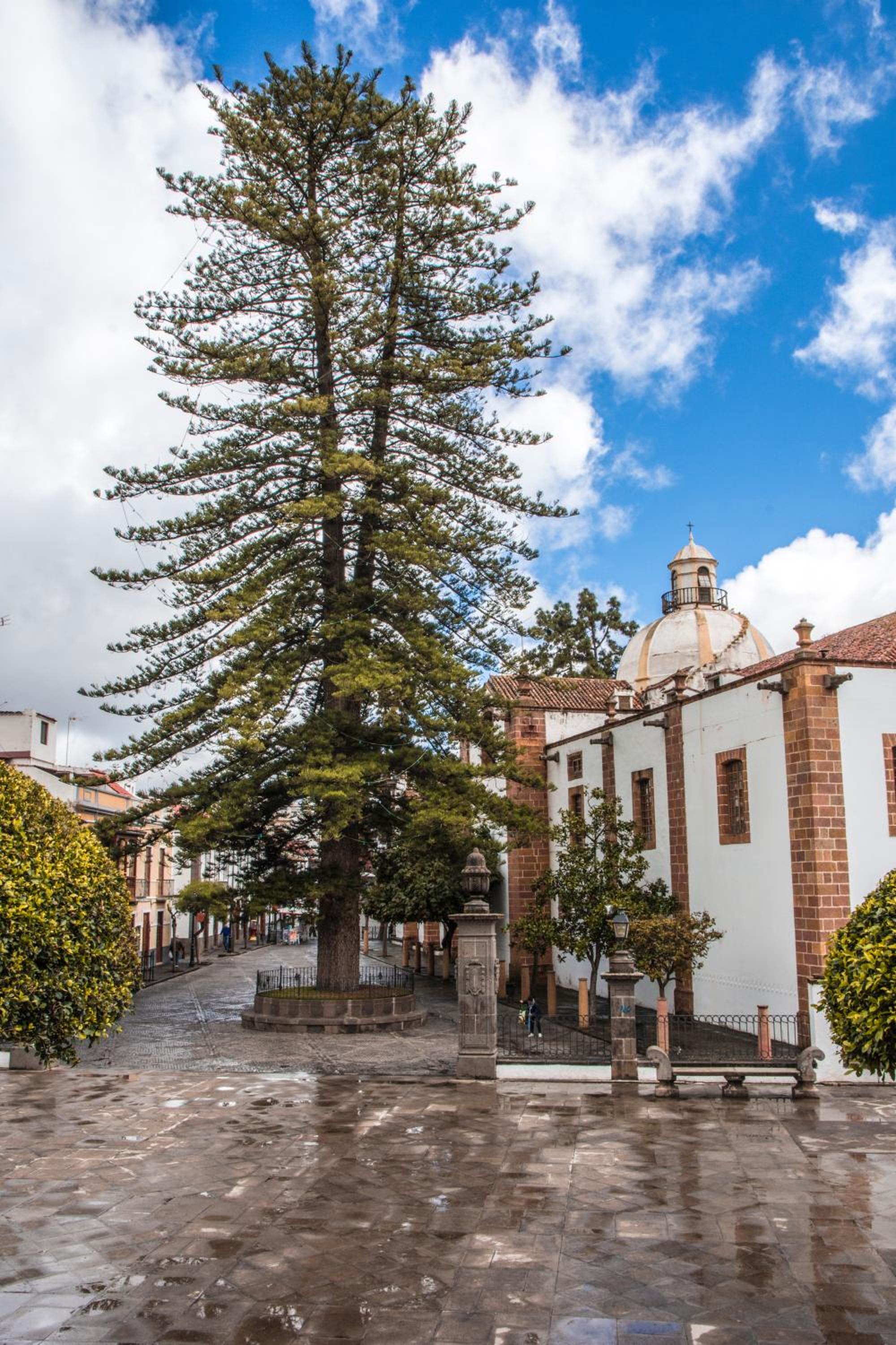 Villa Florymar a 12 minutos del aeropuerto