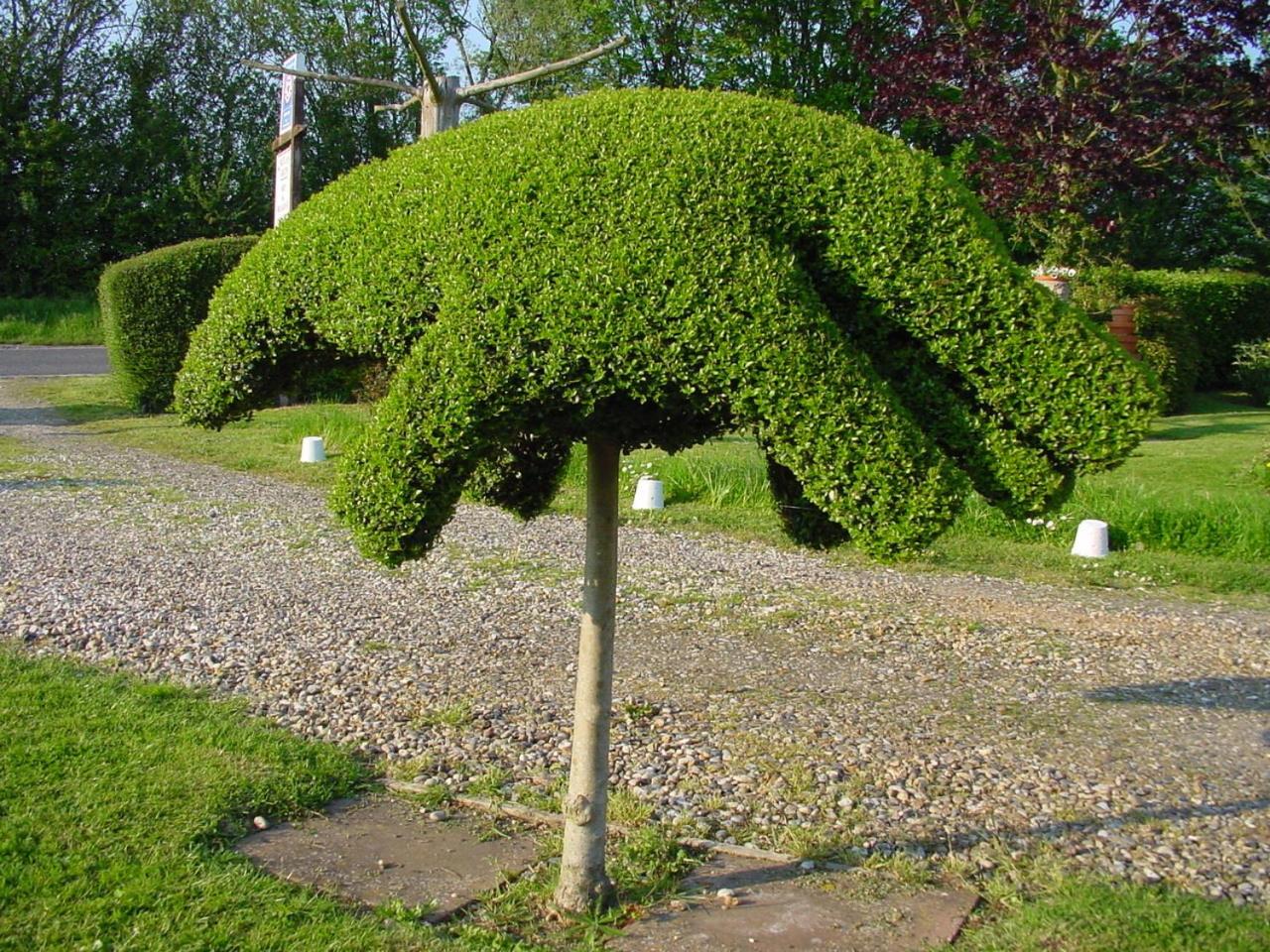 Photo 9