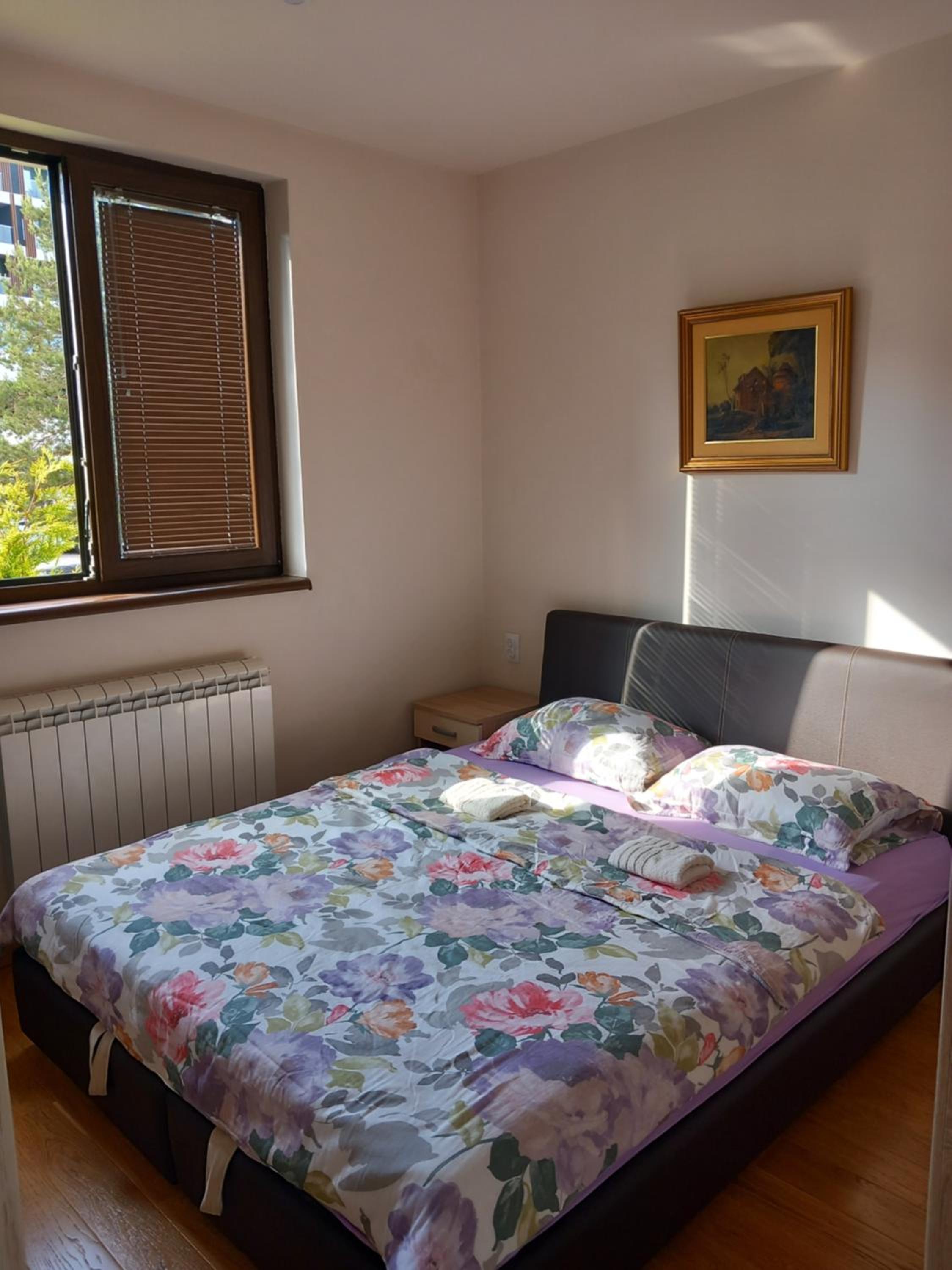 Apartman Bela Breza view 5