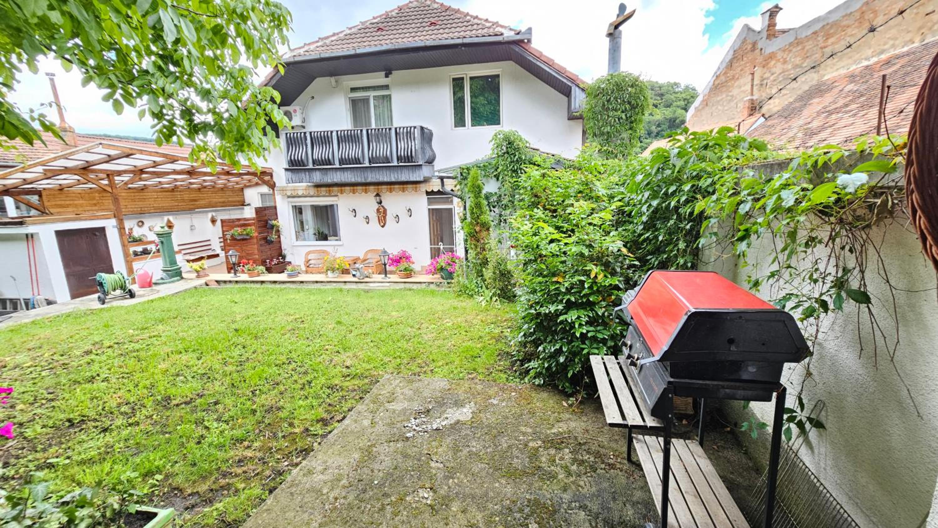 Casa Vanatorului view 2