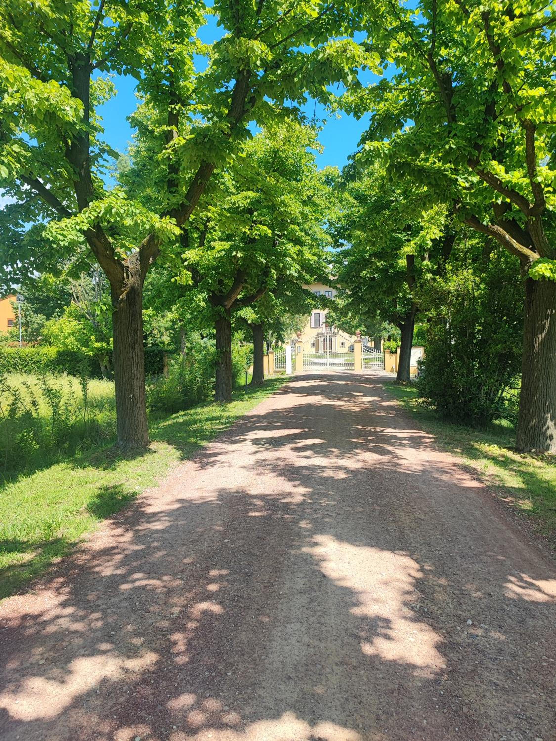 Photo 46