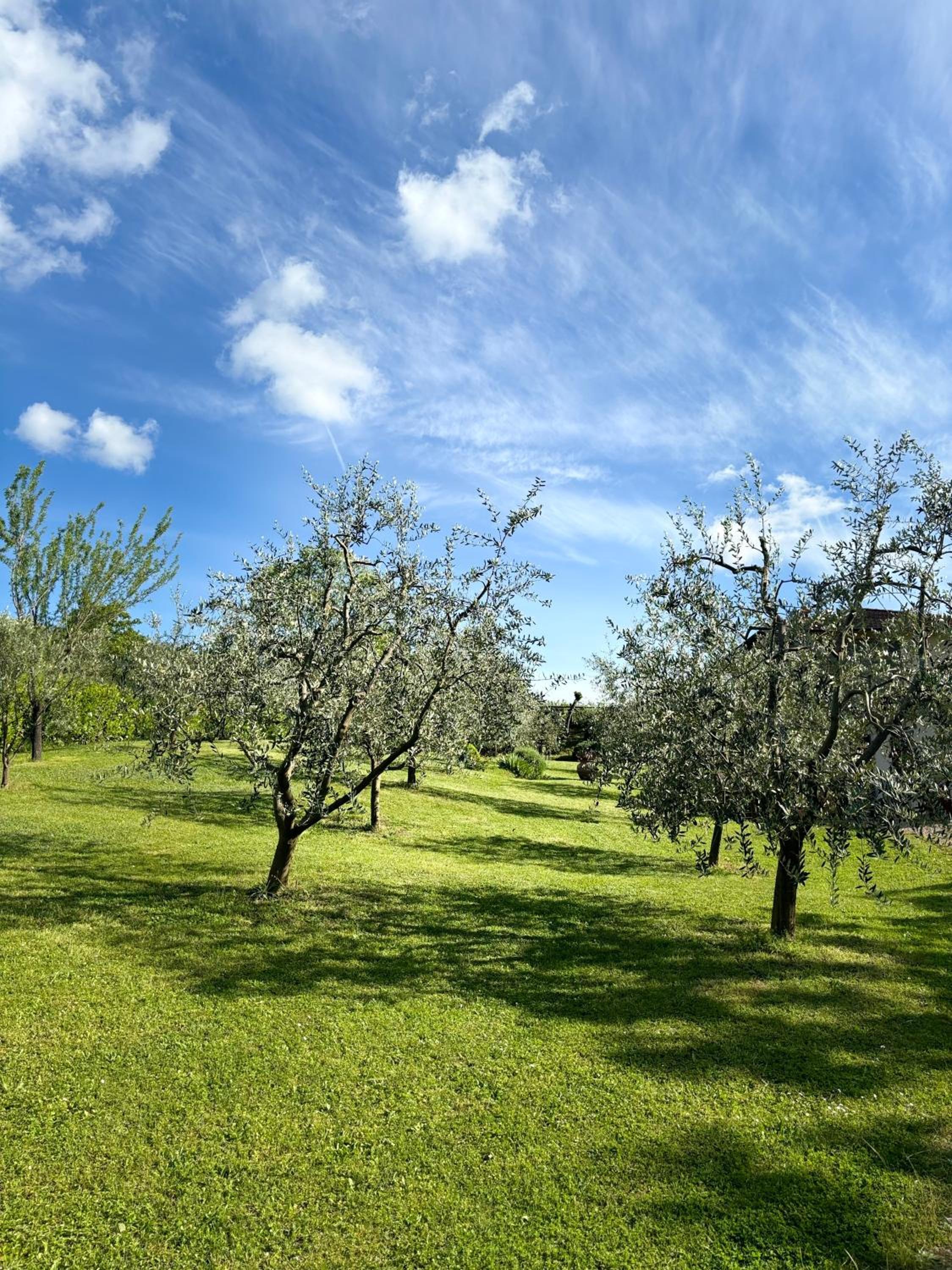 Podere Maria Lena, Casentino view 4
