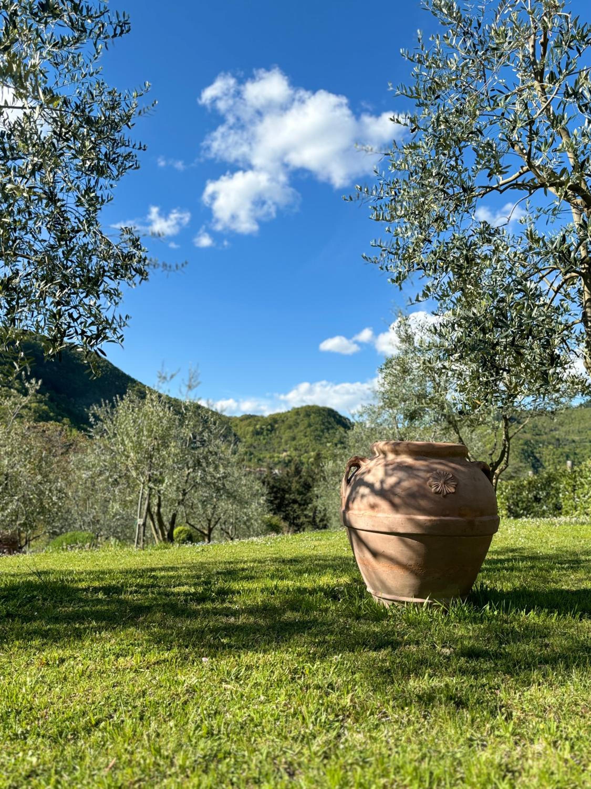 Podere Maria Lena, Casentino view 5