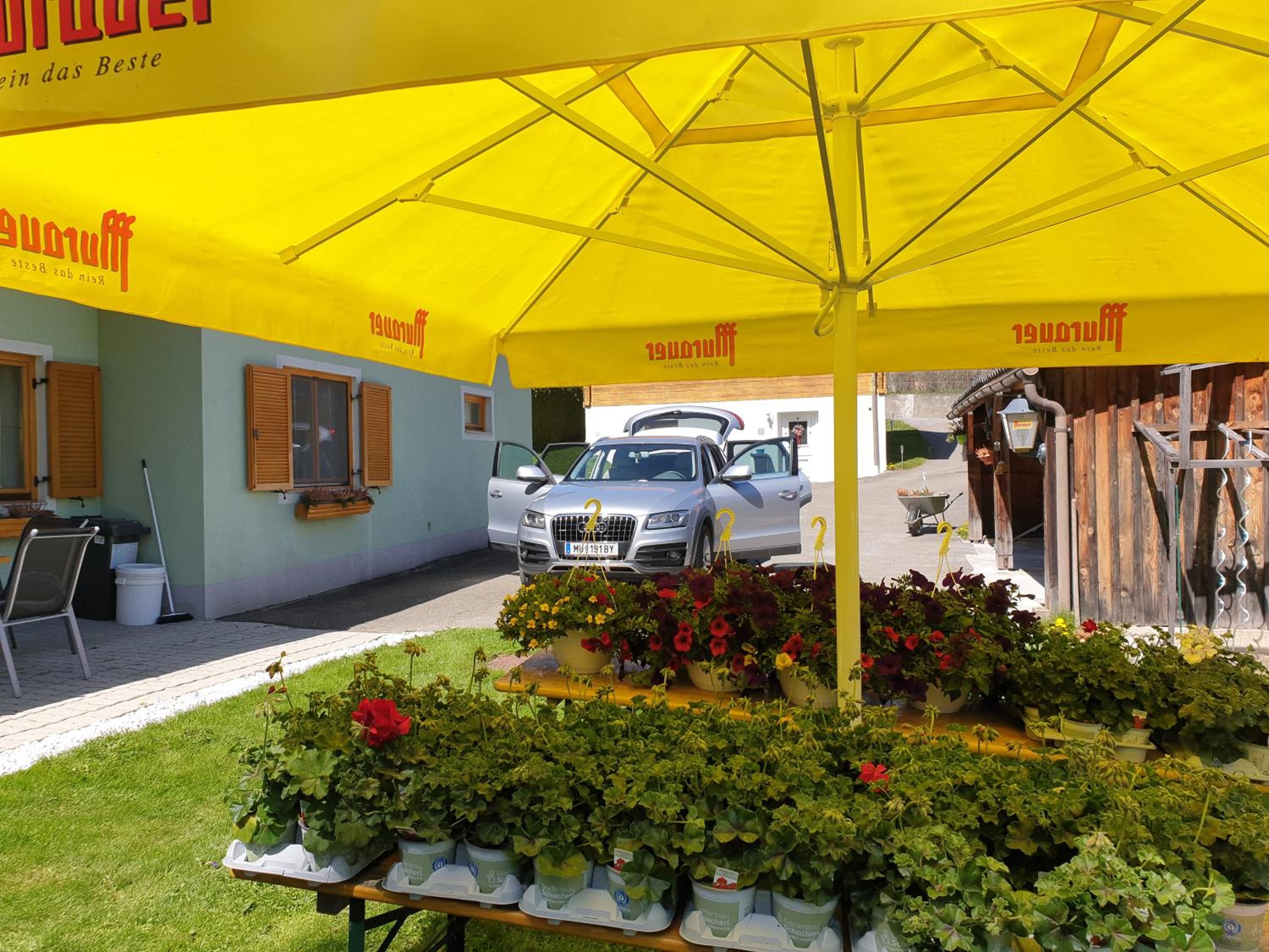 ferienhausfindling St.Lambrecht