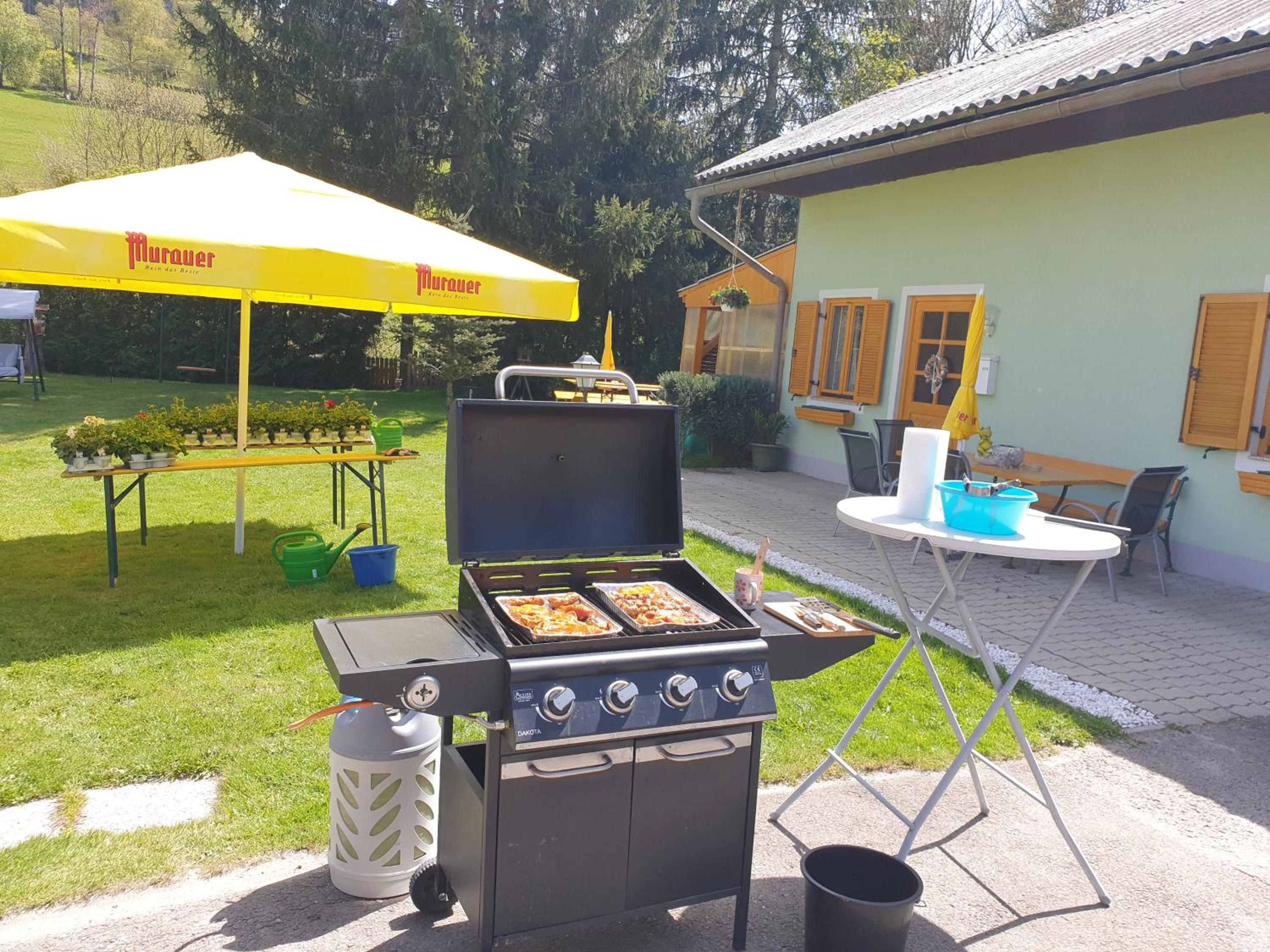 ferienhausfindling St.Lambrecht