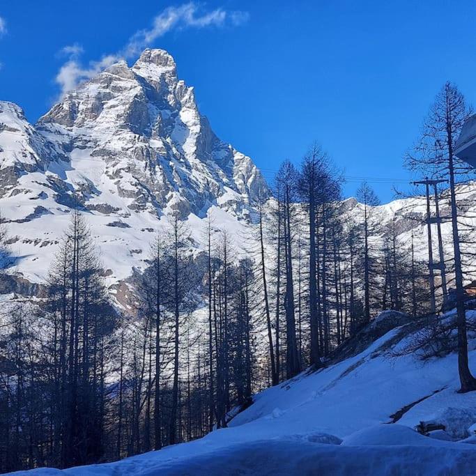 White Star Cervinia - Stunning Matterhorn View with Terrace and Private Parking