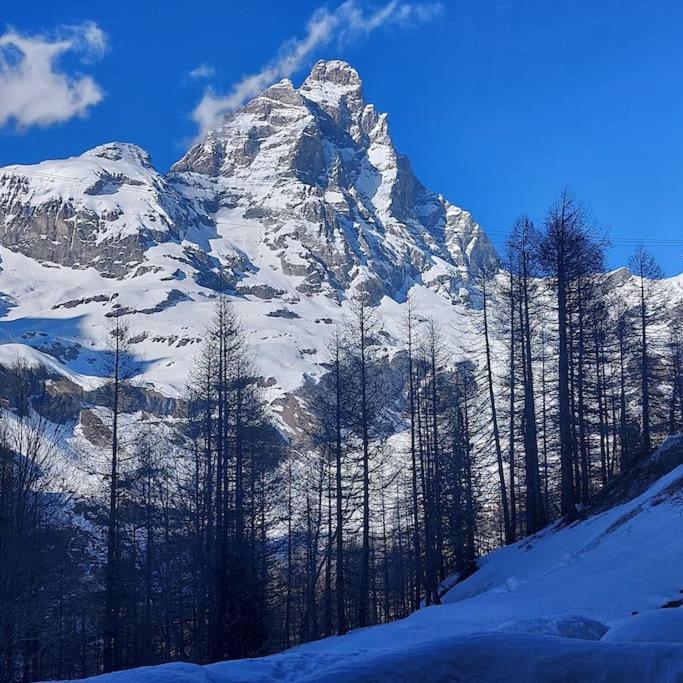 White Star Cervinia - Stunning Matterhorn View with Terrace and Private Parking