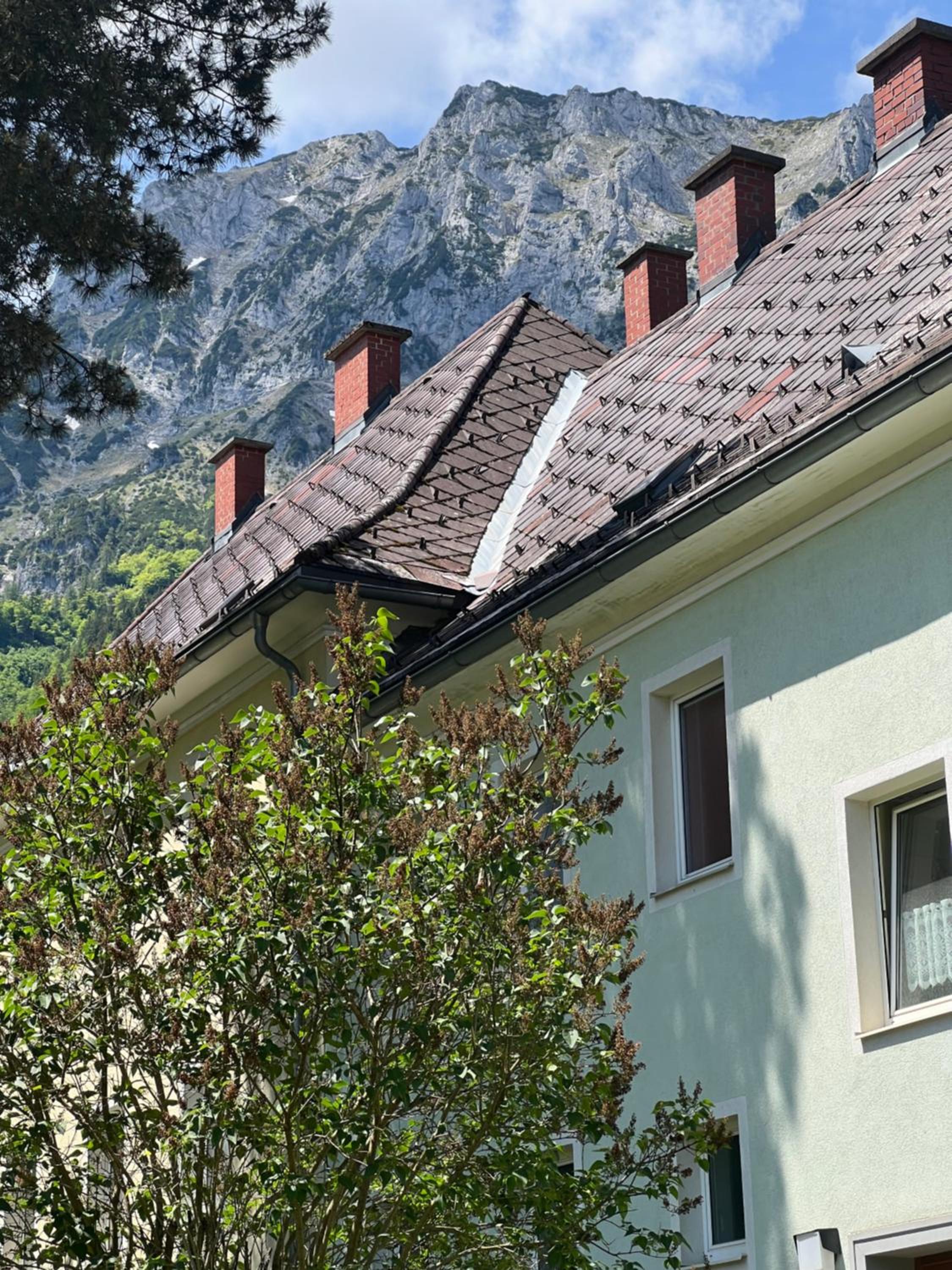 Eisenerz Alpine Apartement RoSy