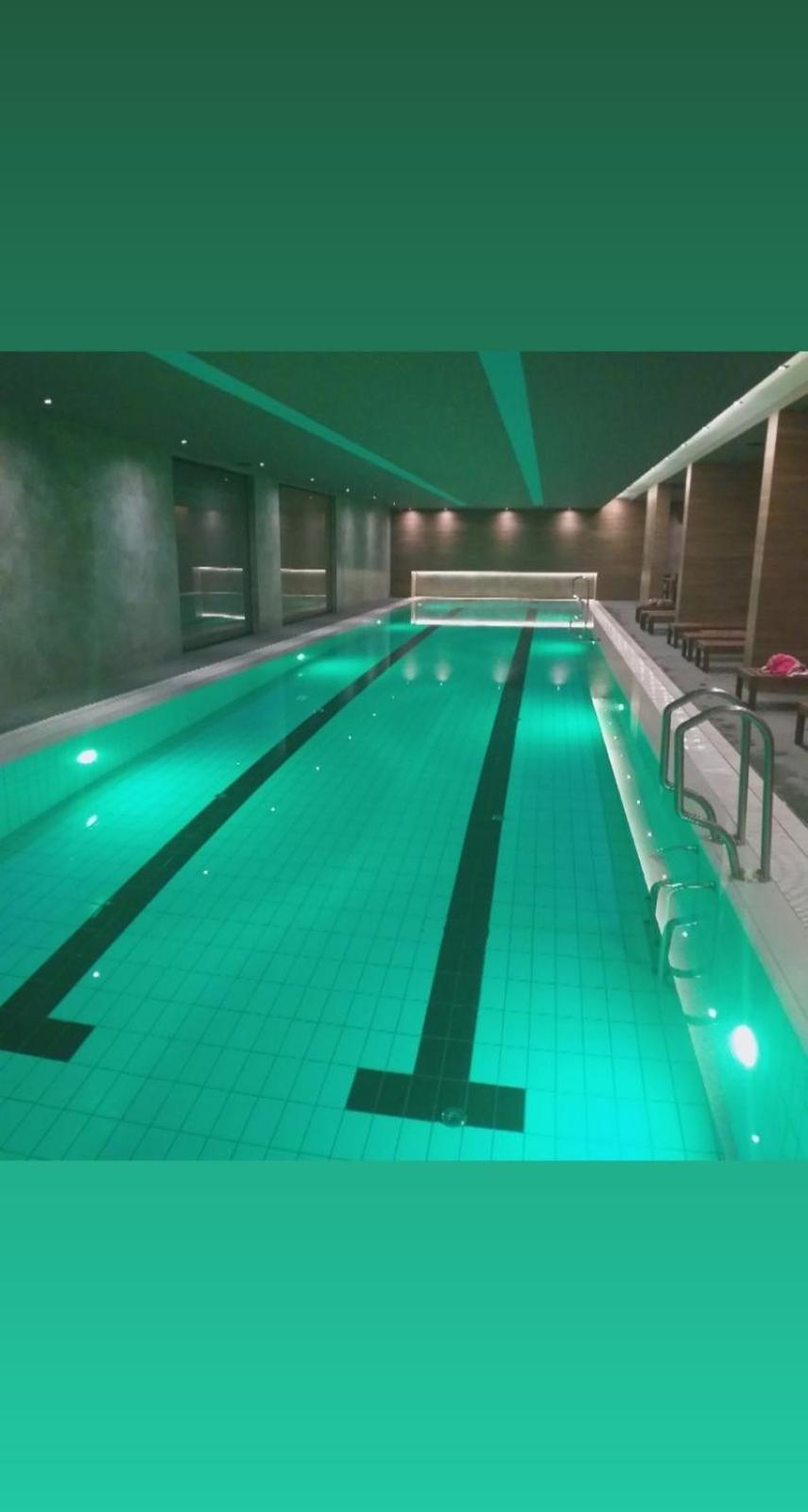 Apartman Mihajlo Kalman view 3